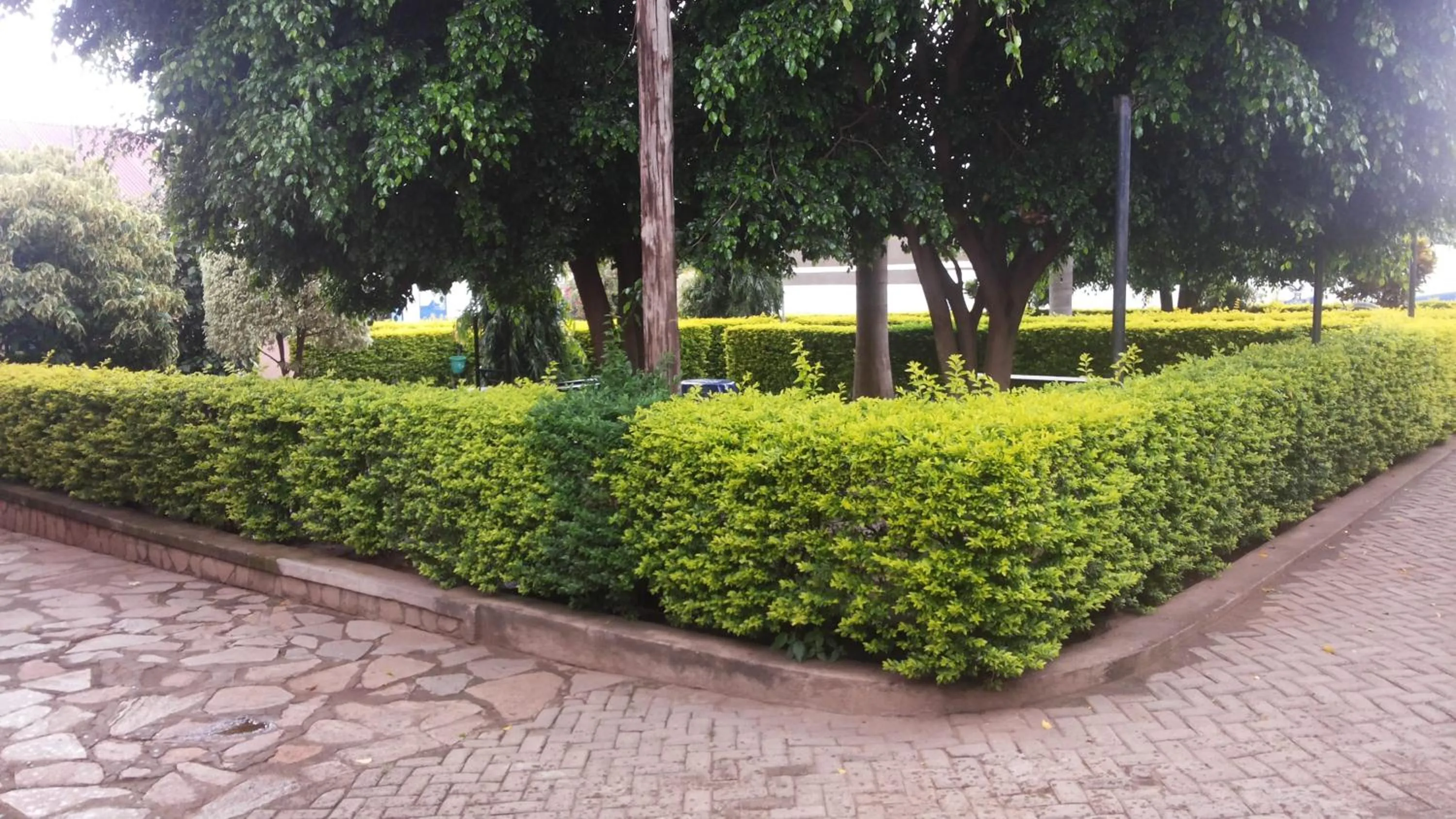 Garden in Leosim Hotel Nebbi