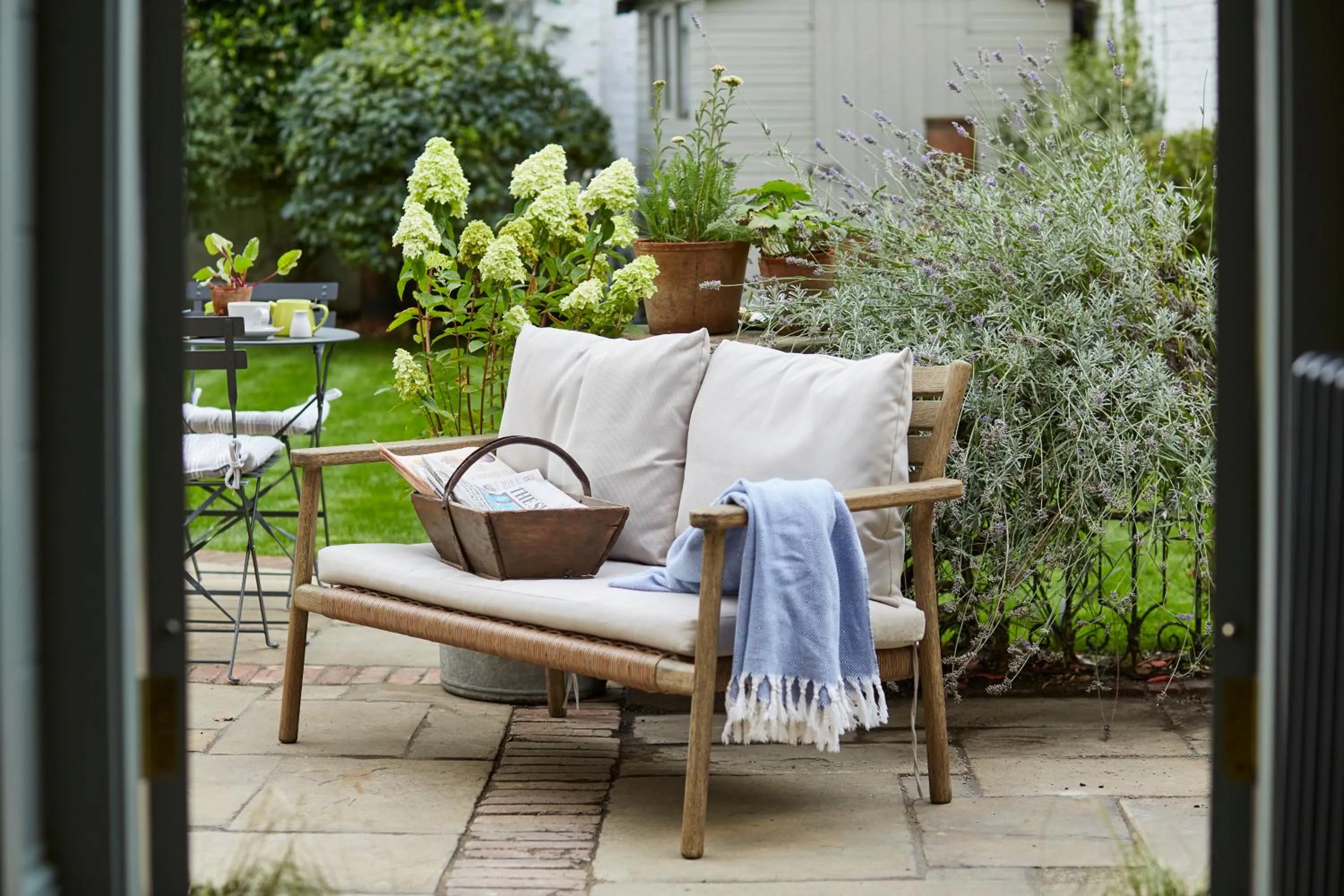 Garden in Room Mate Lime Tree