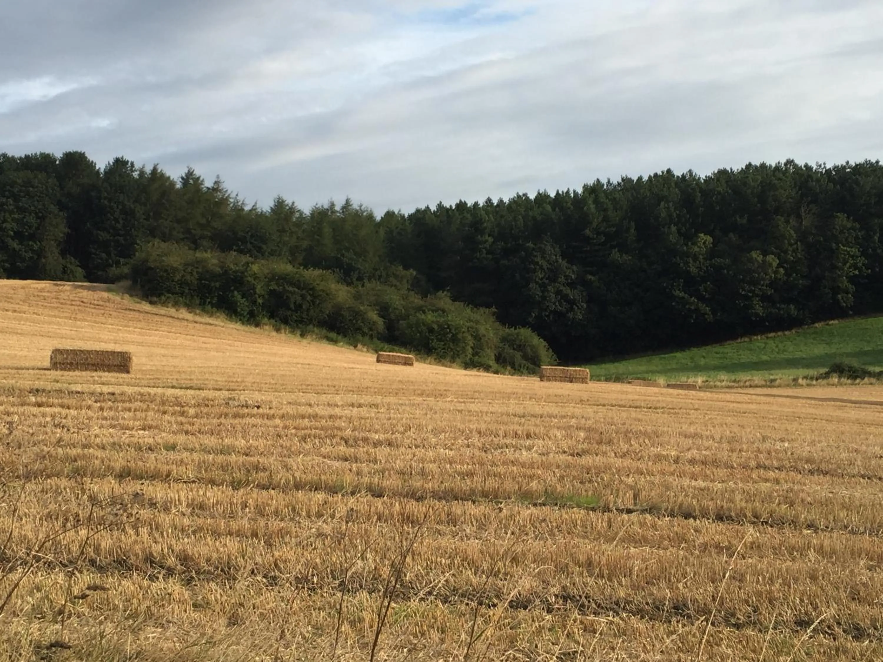 View (from property/room) in Twizell Lane