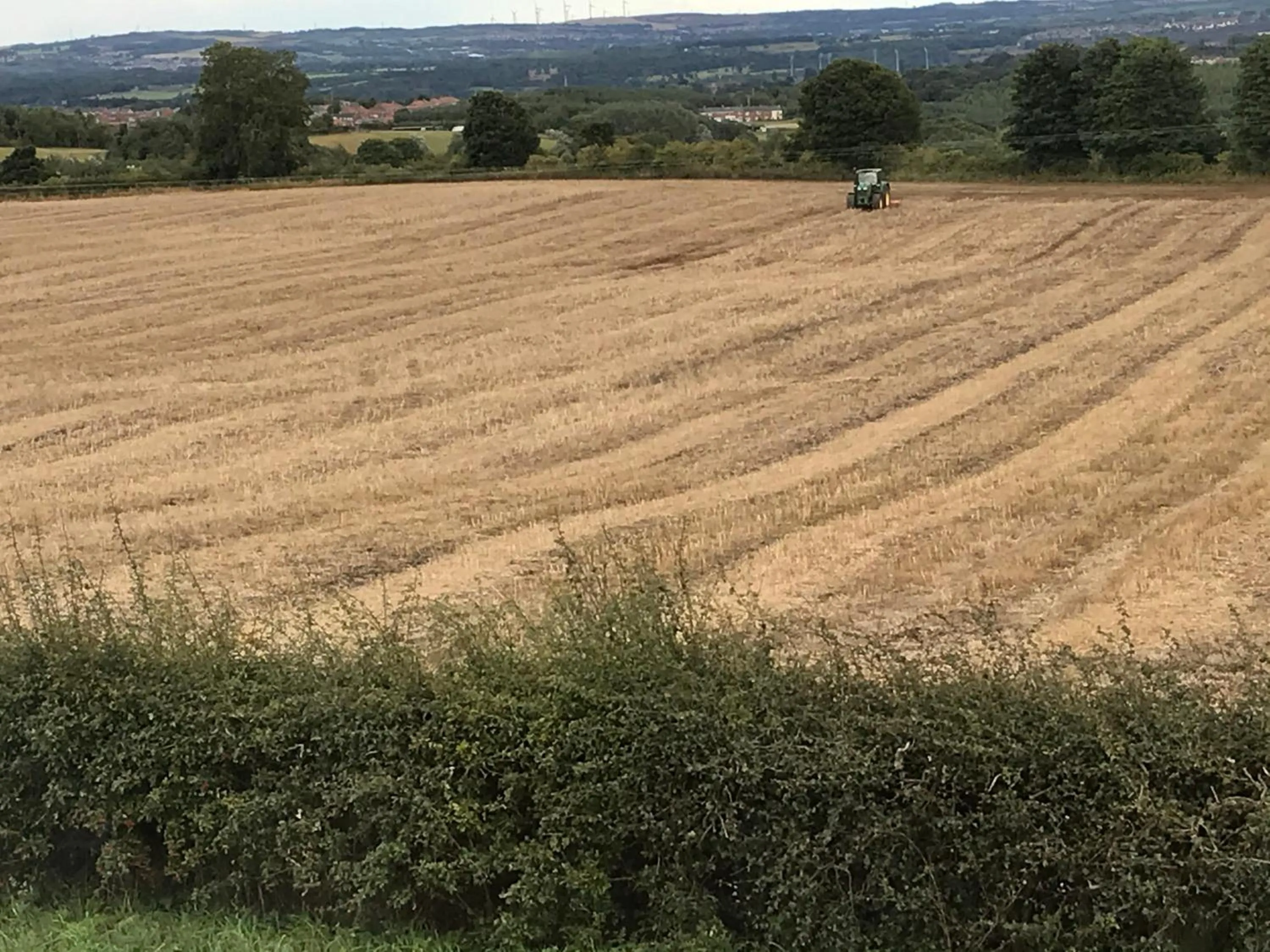 View (from property/room) in Twizell Lane