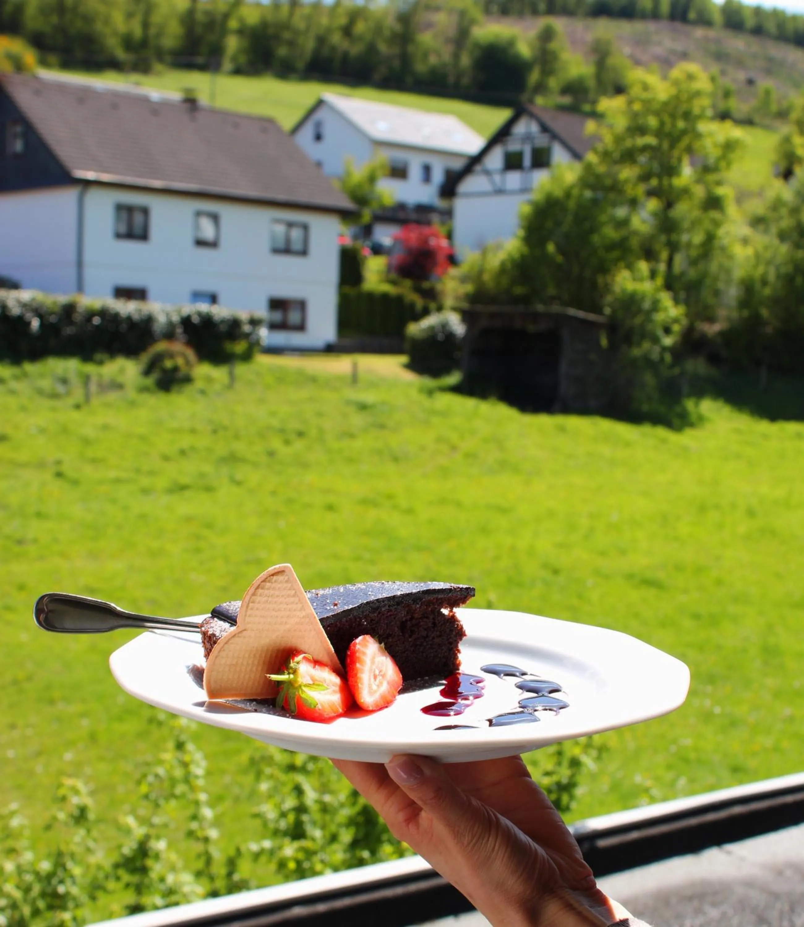 View (from property/room) in Landhotel Laarmann