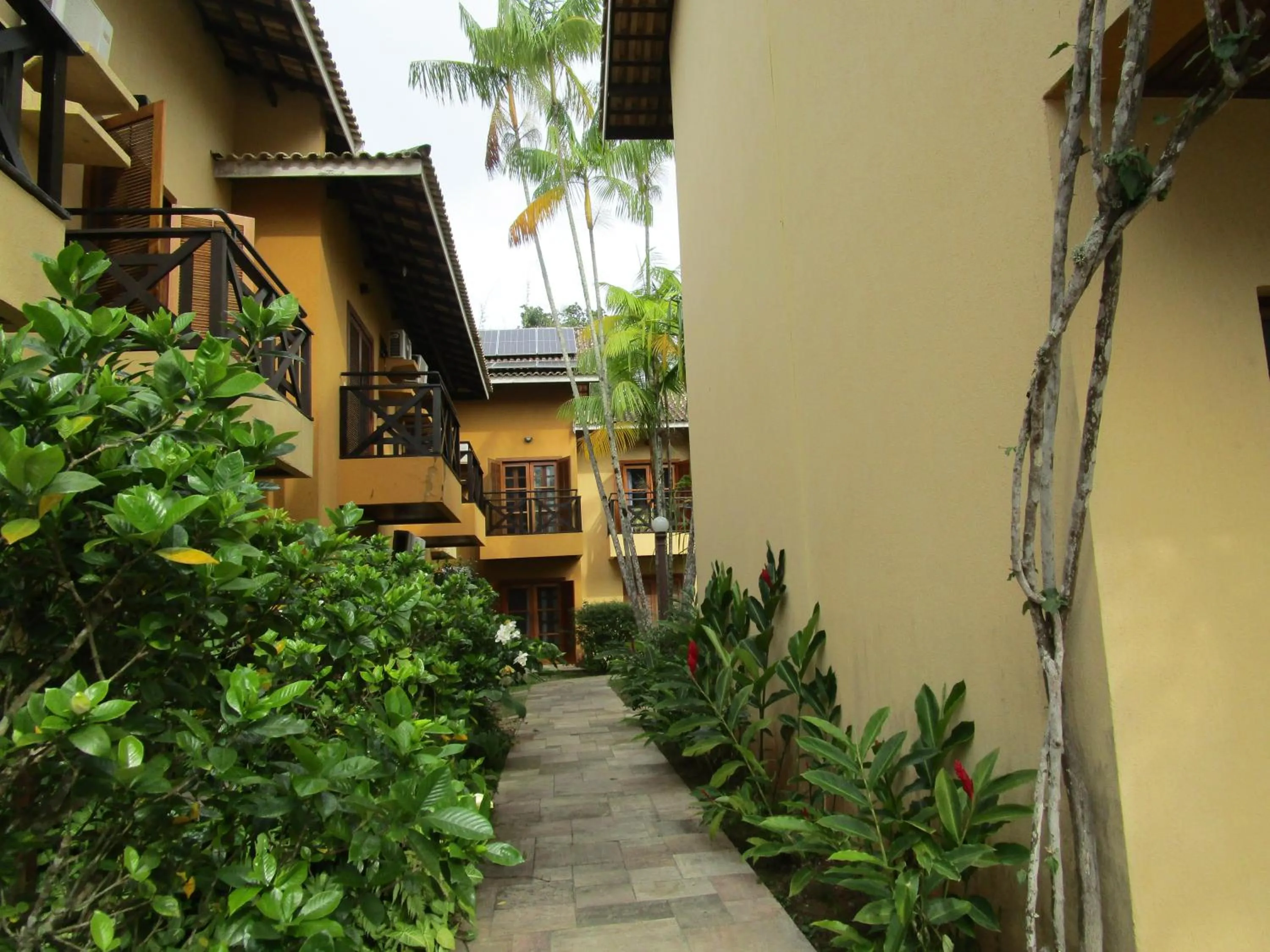 Garden in Ilha flat Hotel Suíte Swaenen II