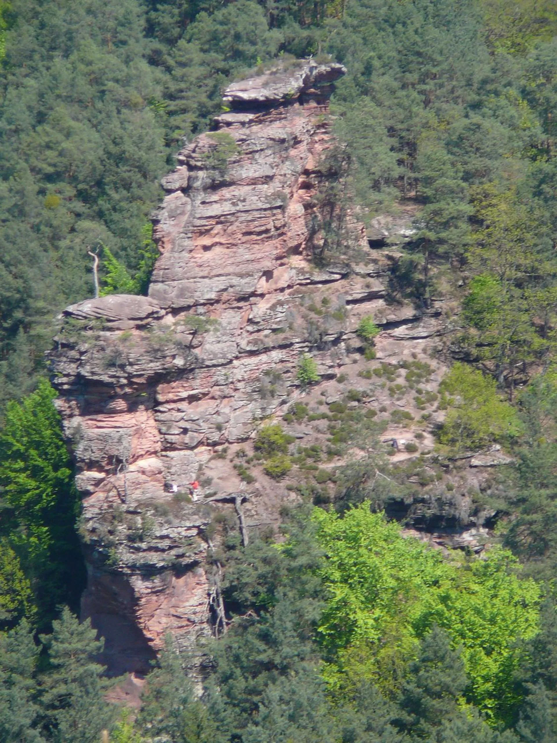 Sports in Waldhotel Felsentor