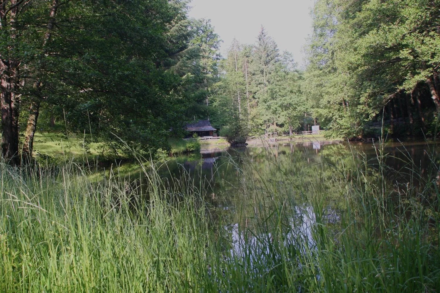 Area and facilities in Zur Morschbach