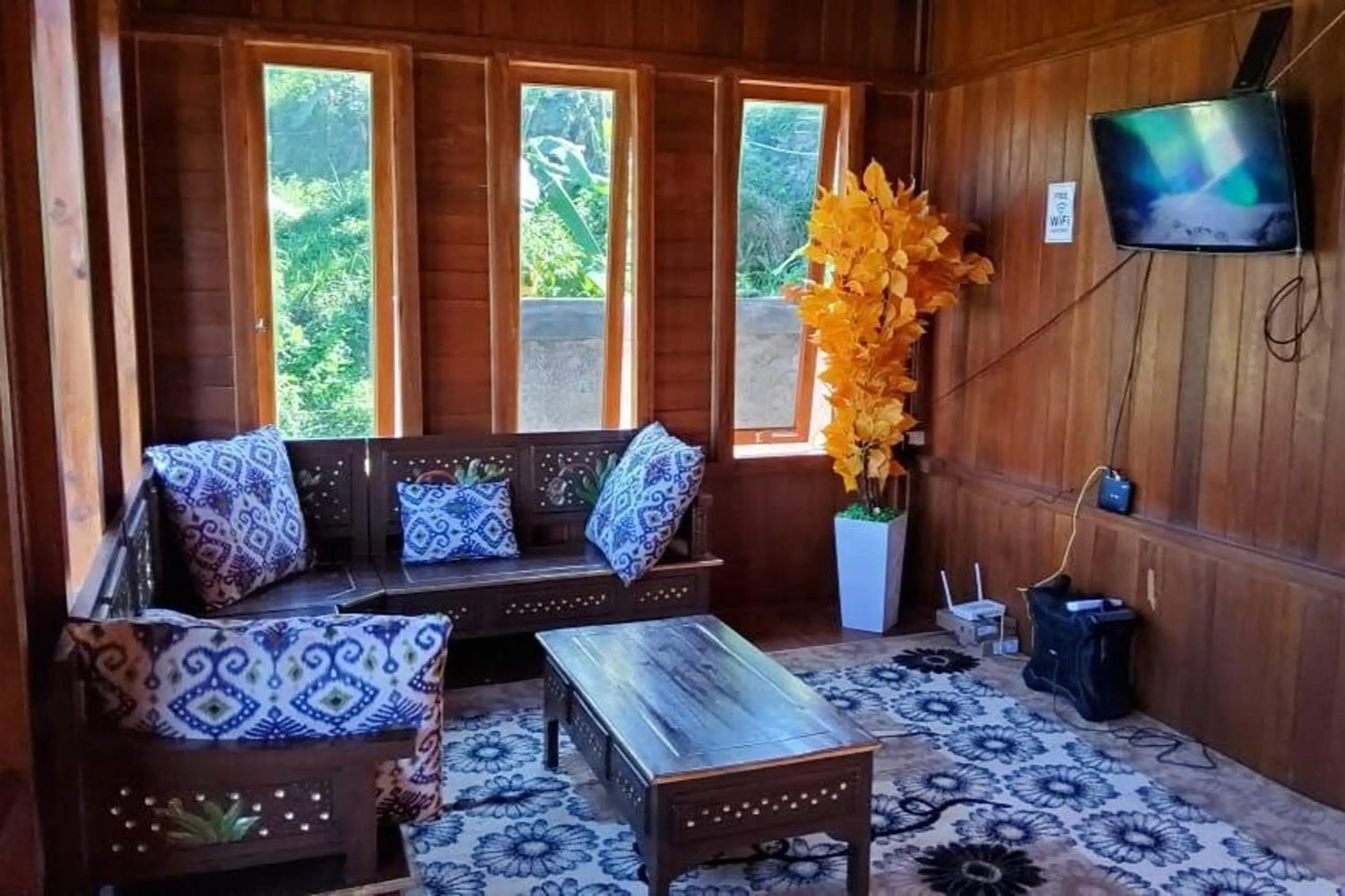 TV and multimedia in Villa Zoya 1