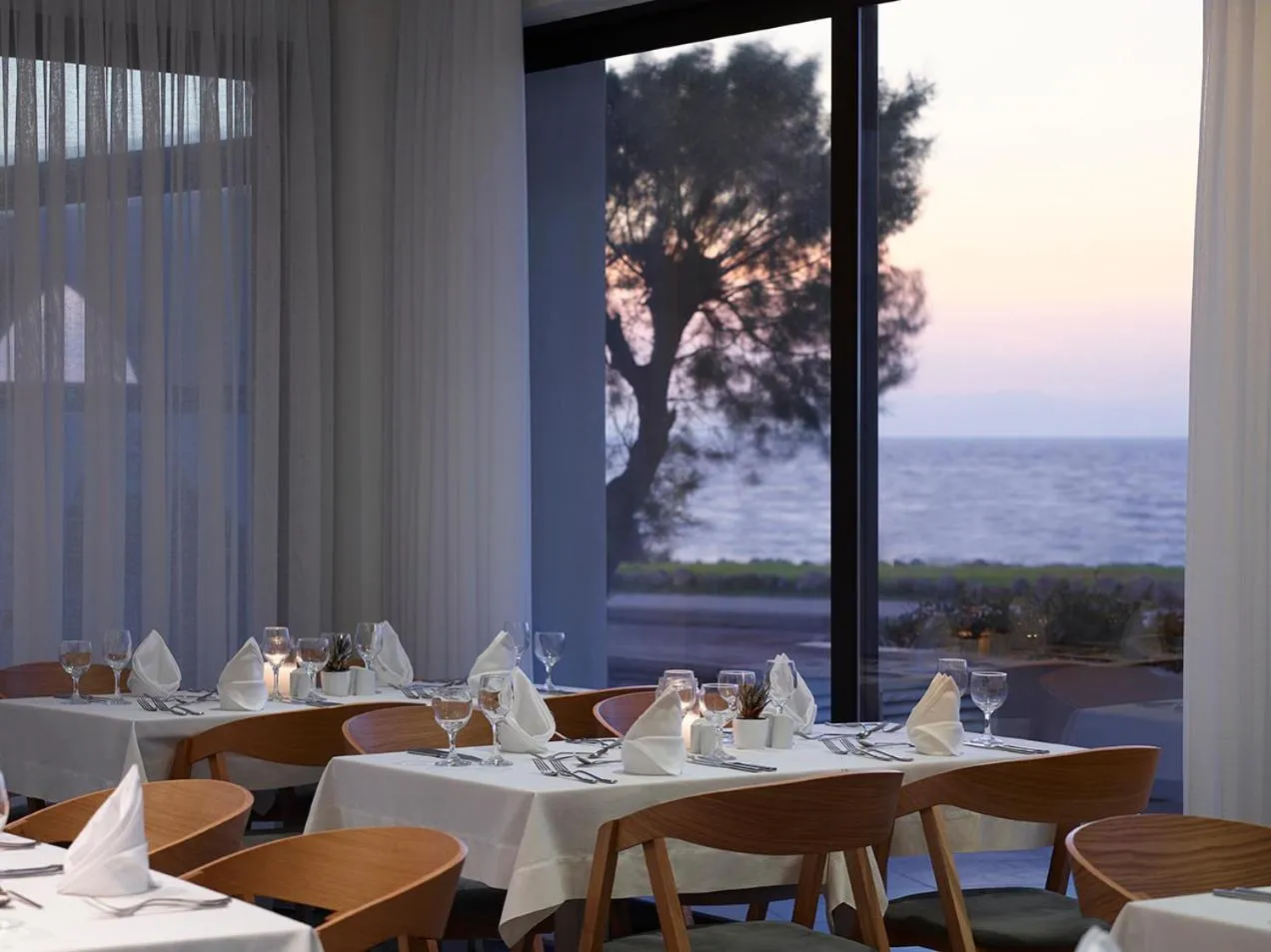 Restaurant/places to eat in Cactus Hotel