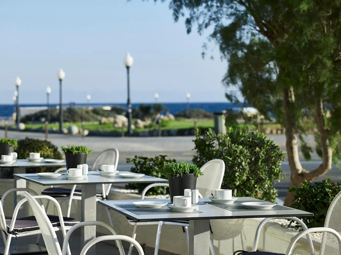 Restaurant/places to eat in Cactus Hotel