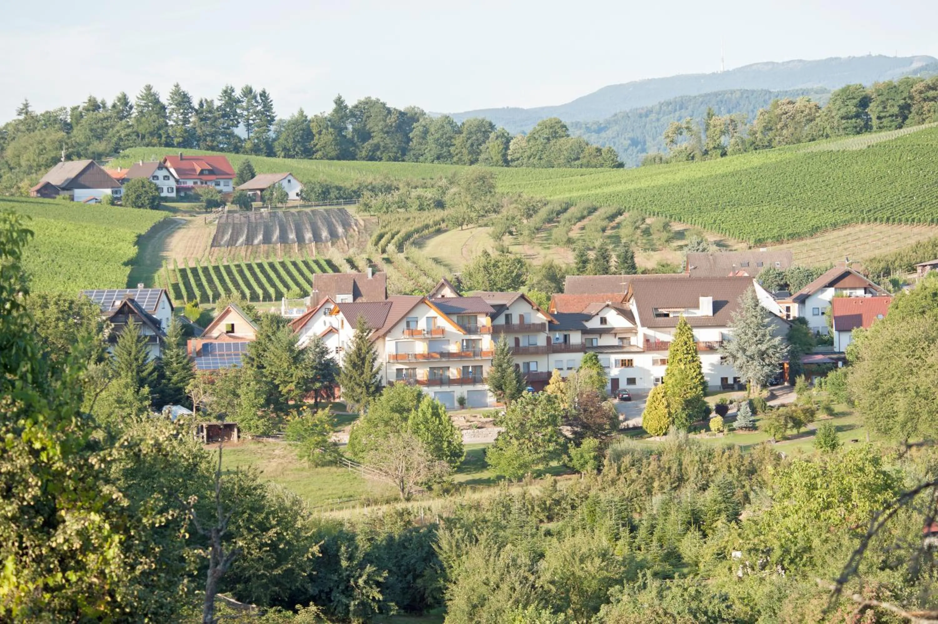 Neighbourhood in Hotel-Gasthof Rose