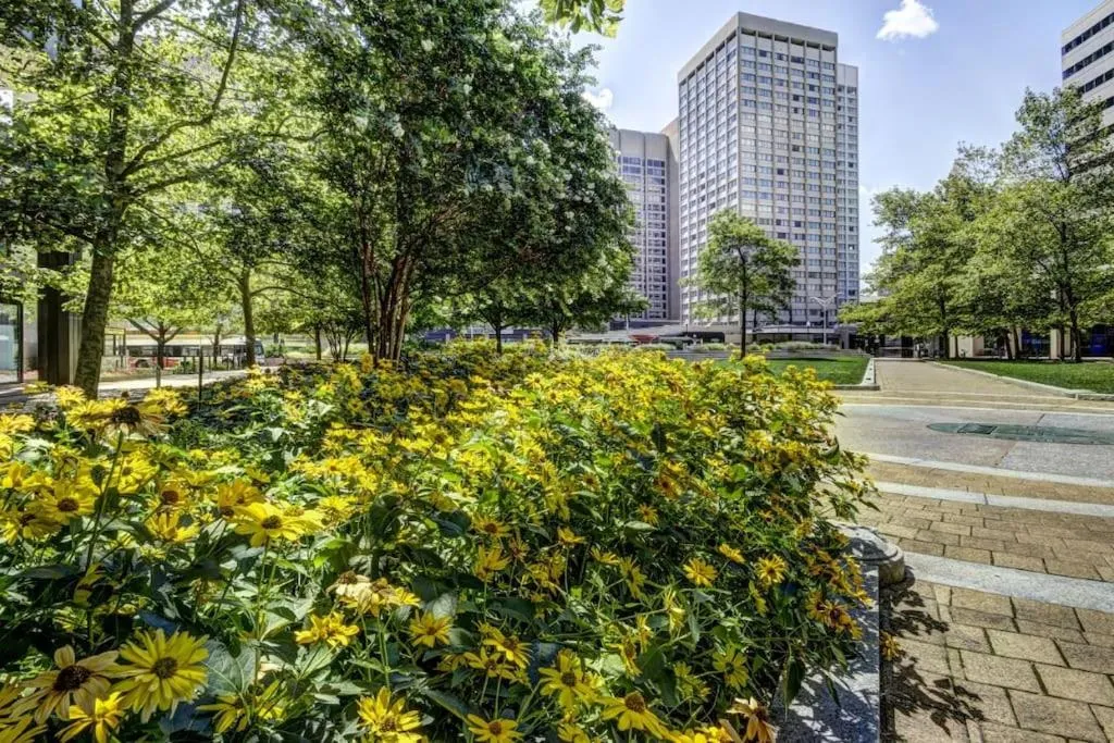Natural landscape in Harbor apartments Free indoor Parking
