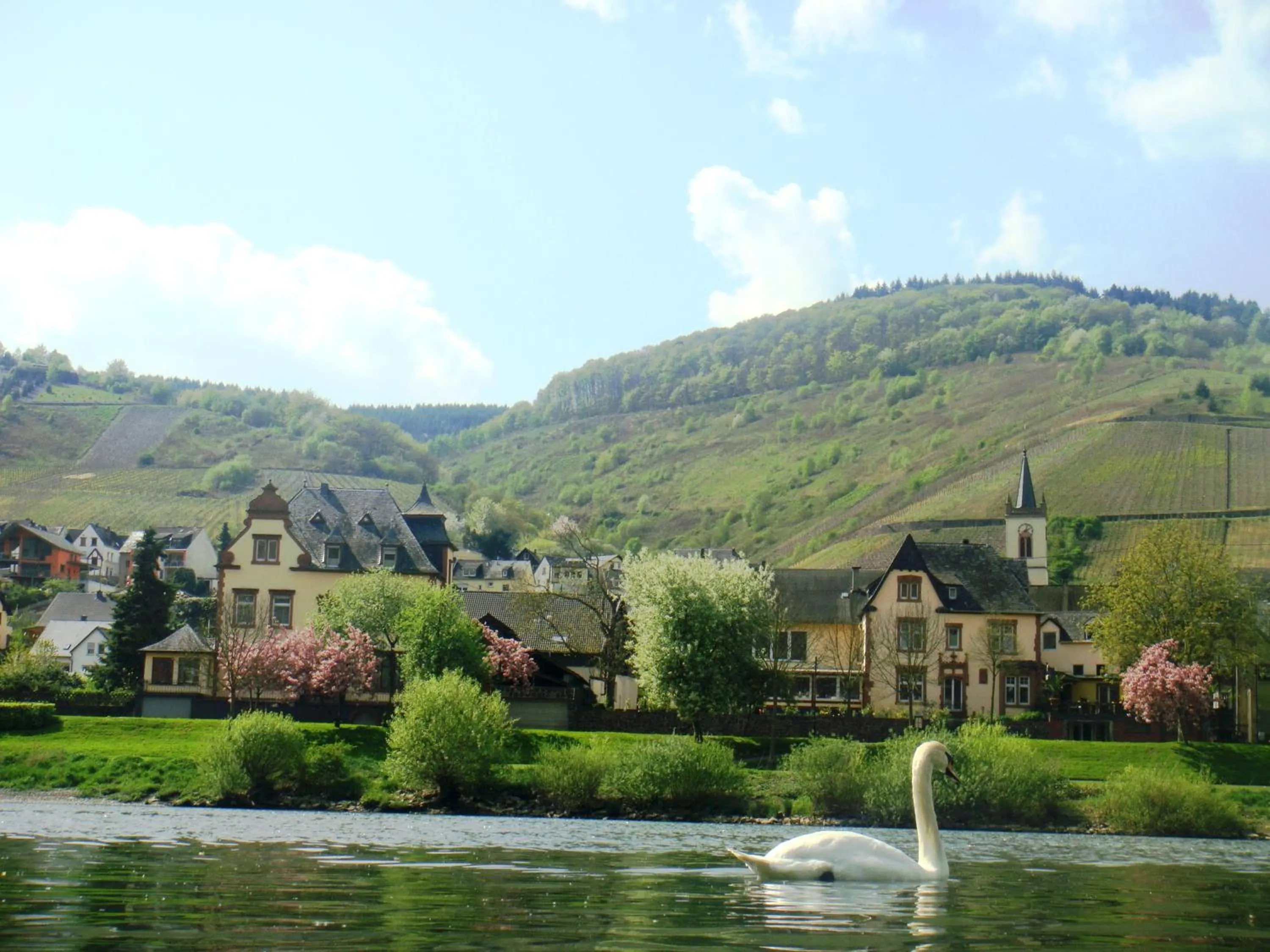 Facade/entrance in Boutique Hotel Villa Melsheimer