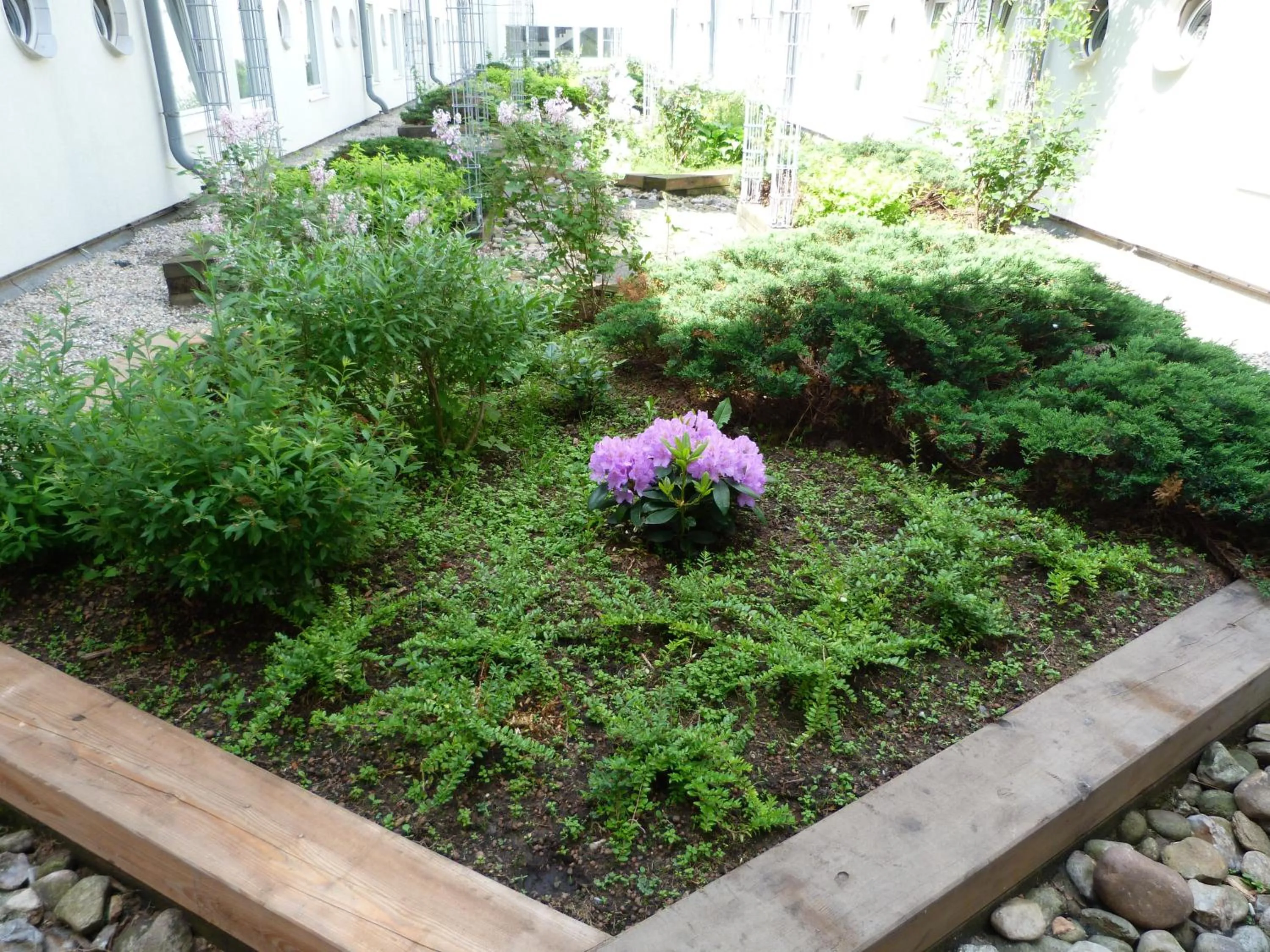 Patio in Egon Hotel Hamburg City