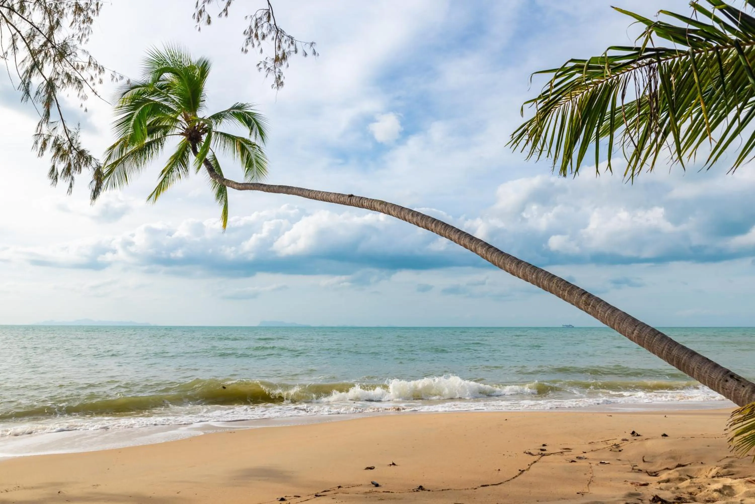 Natural landscape in Satva Samui Yoga and Wellness Resort