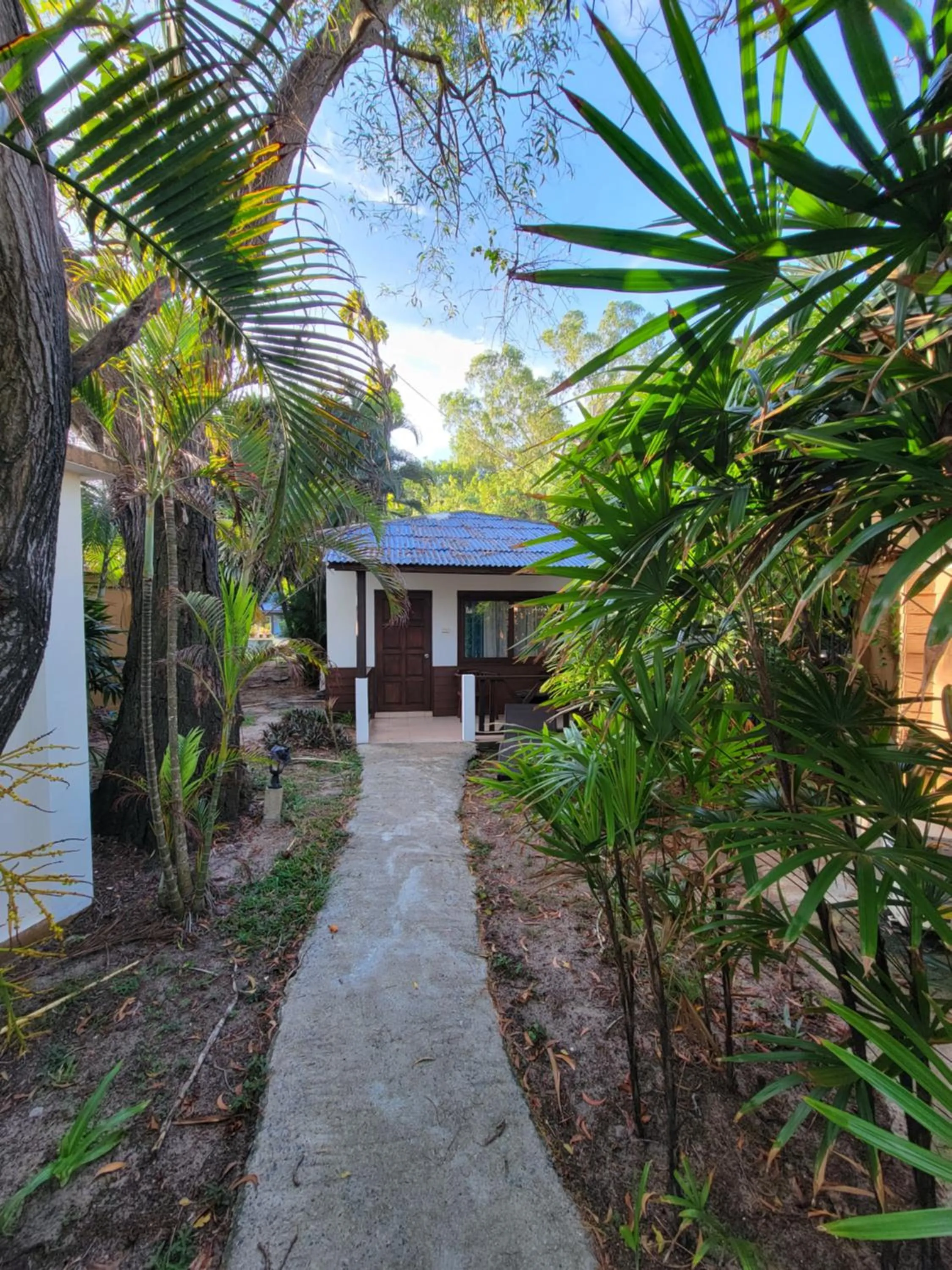 Property building in Satva Samui Yoga and Wellness Resort