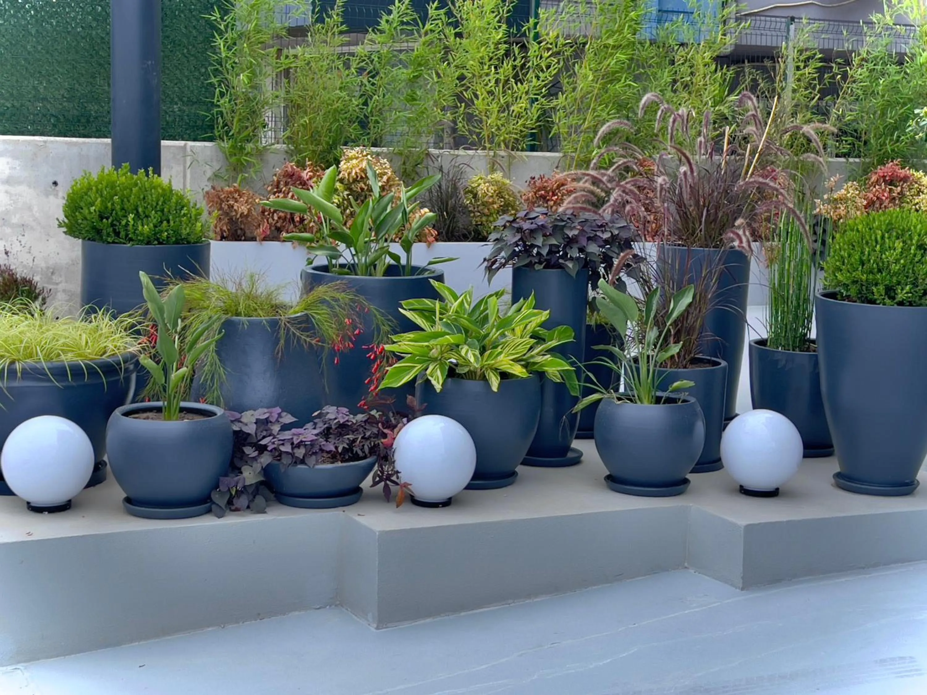 Garden in AG Hotels Antalya