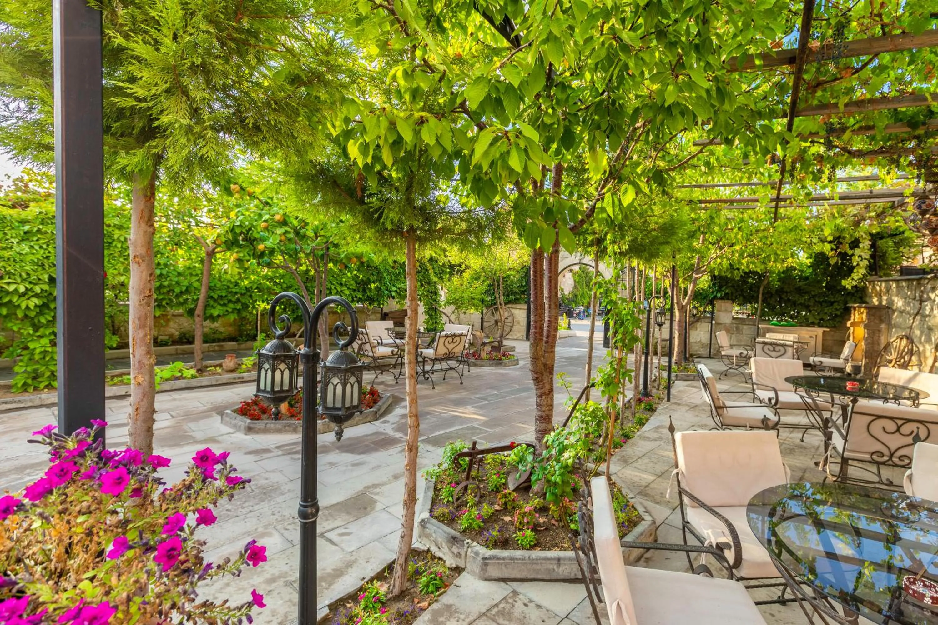 Garden in Helen Cave Suites