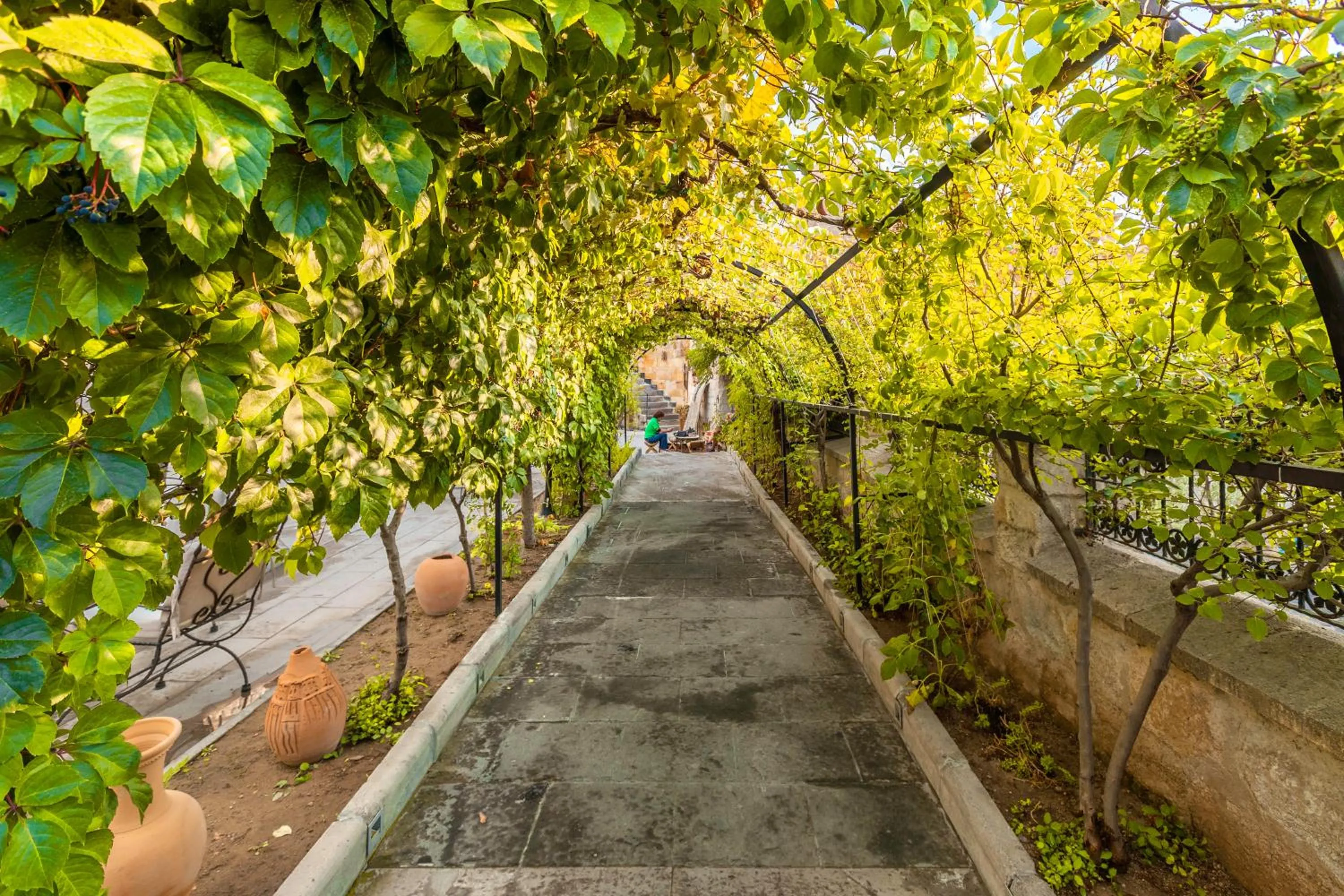 Garden in Helen Cave Suites