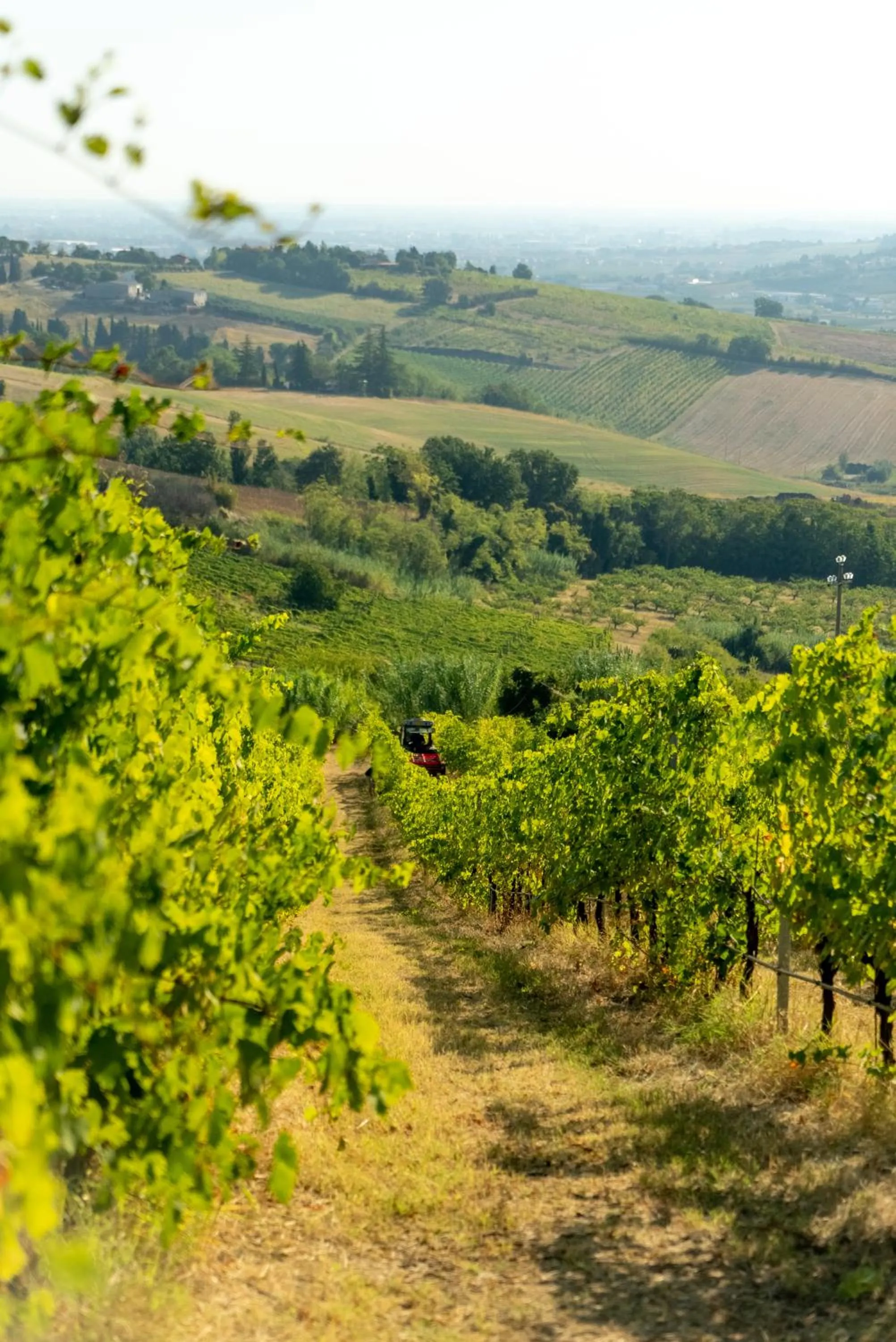 Natural landscape in Boutique Hotel Villa Monty Banks