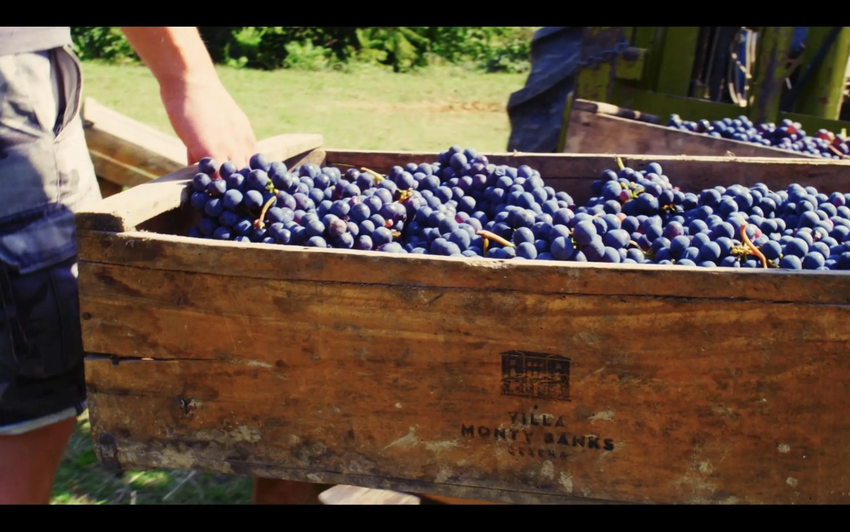 Food and drinks in Boutique Hotel Villa Monty Banks