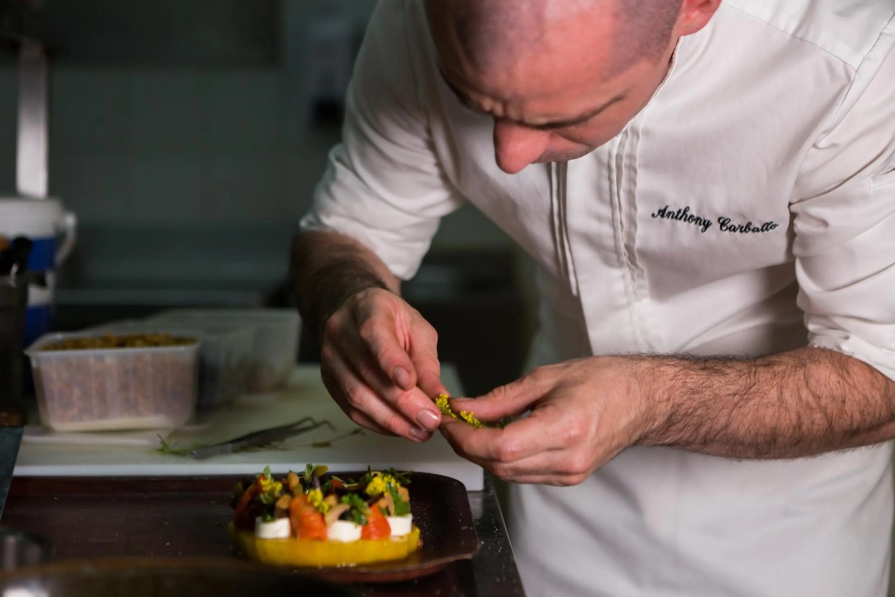 Staff in Mercure Figeac Viguier du Roy