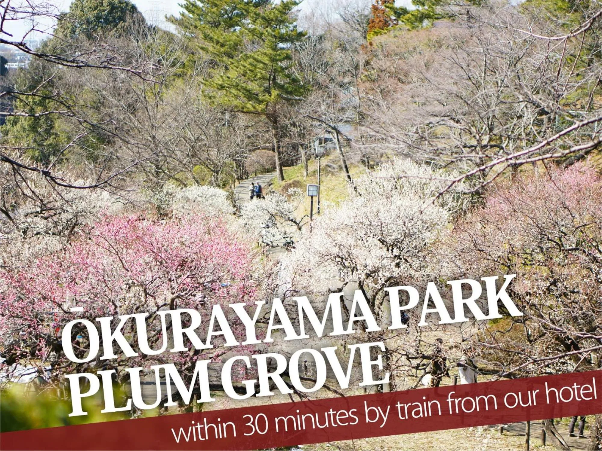 Nearby landmark in Hotel ZALA