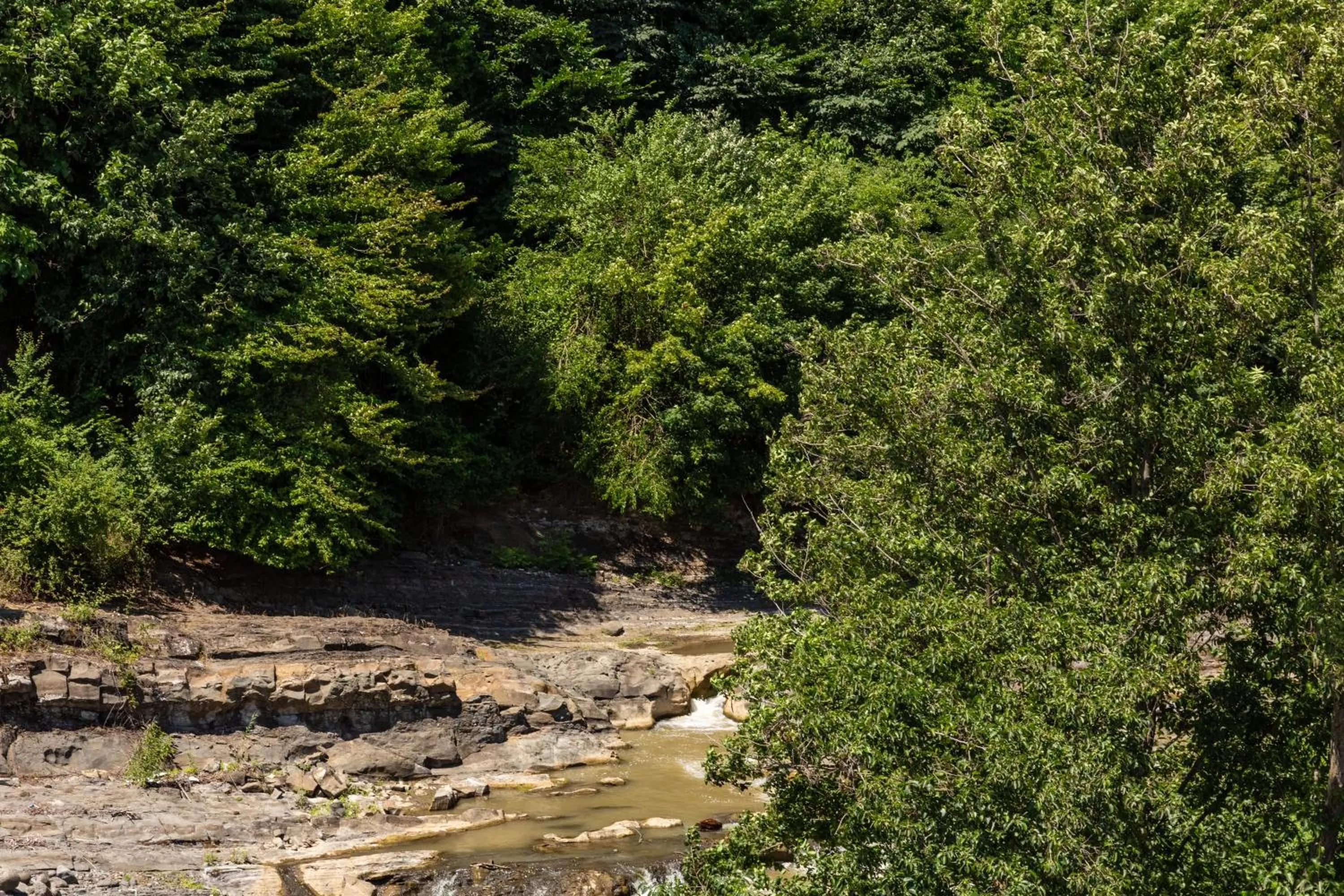 Natural landscape in Riva Hill Resort Lankaran