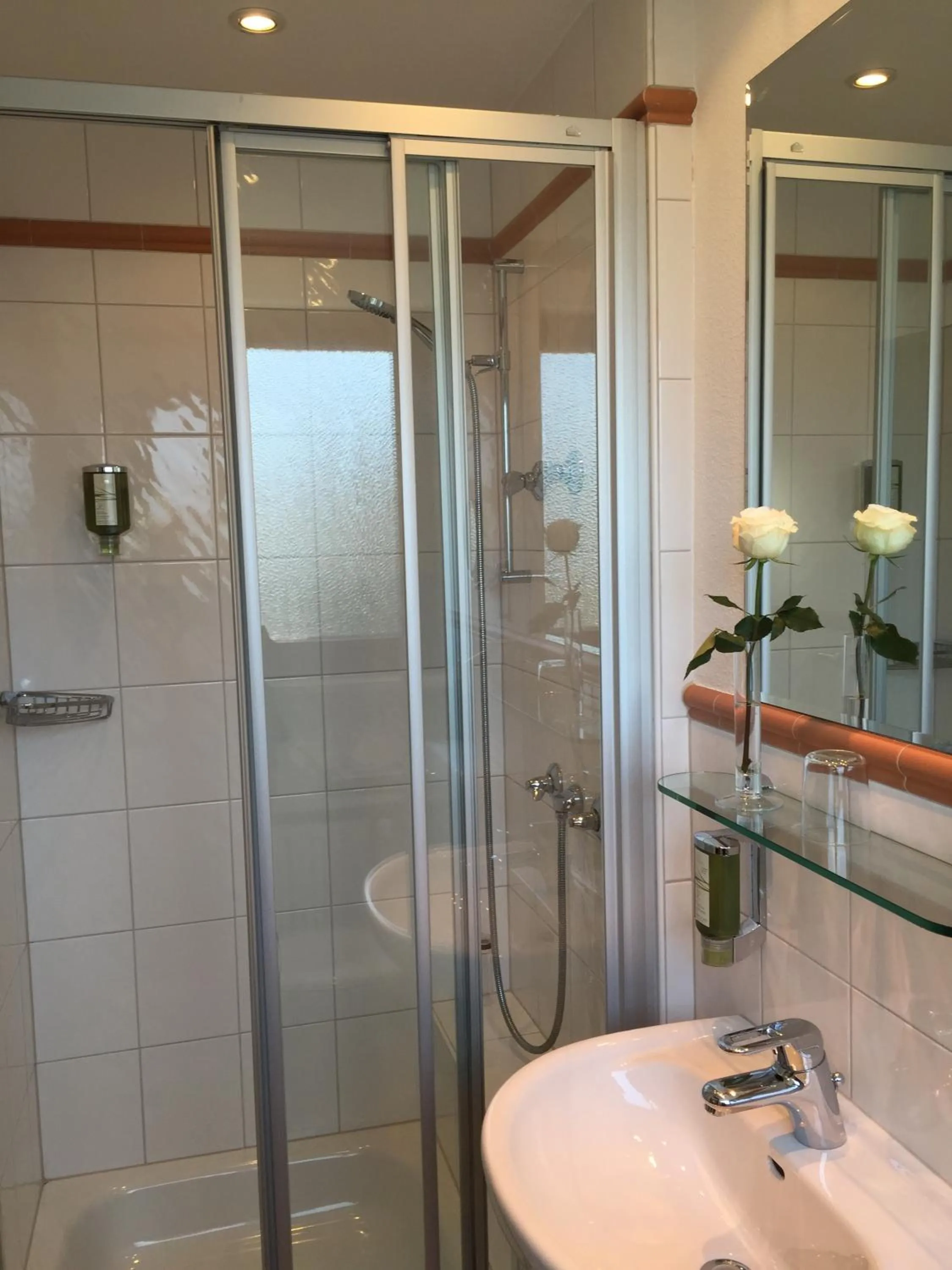 Shower in Hotel Sollner Hof