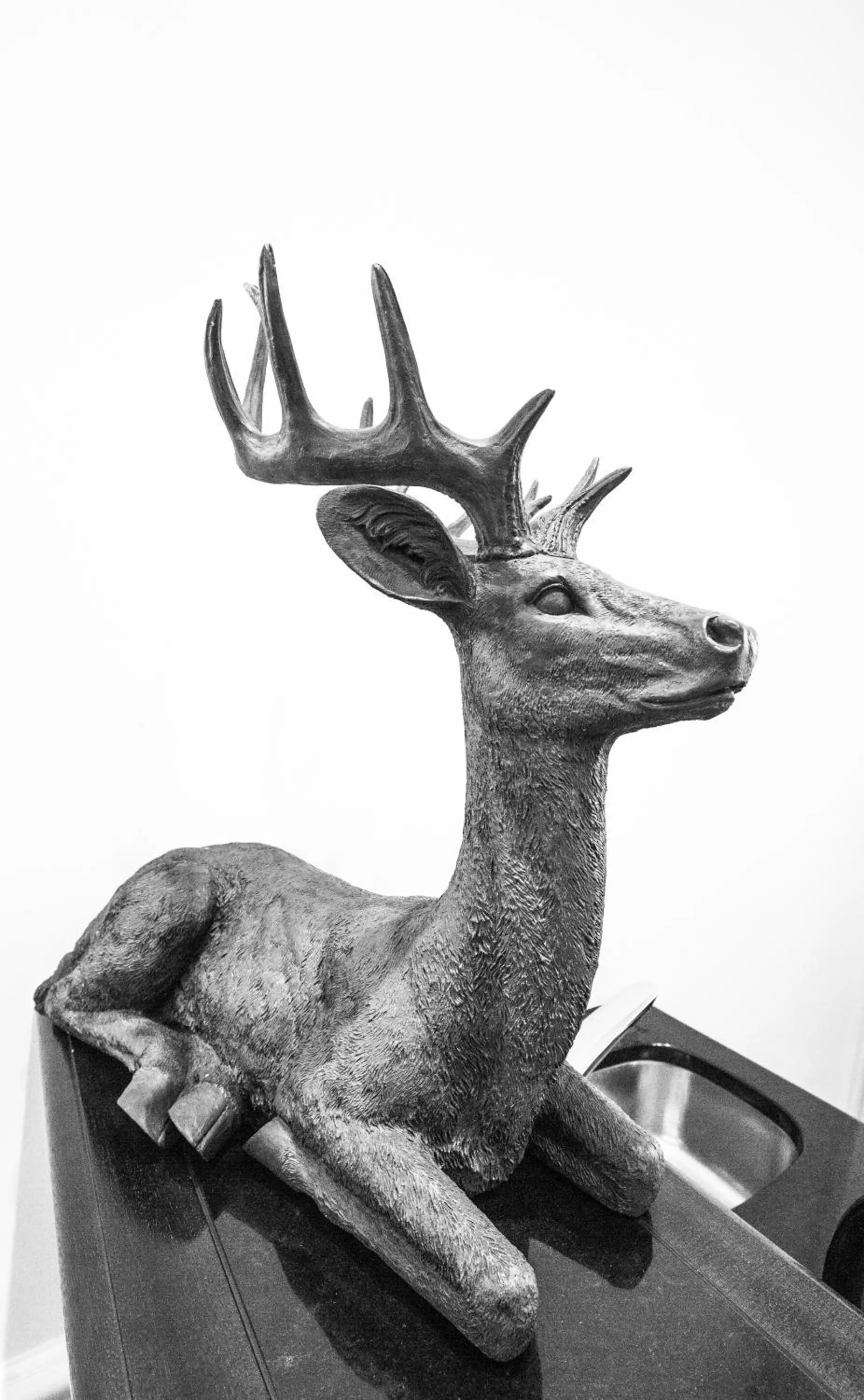 Other in HELIOPARK Bad Hotel Zum Hirsch