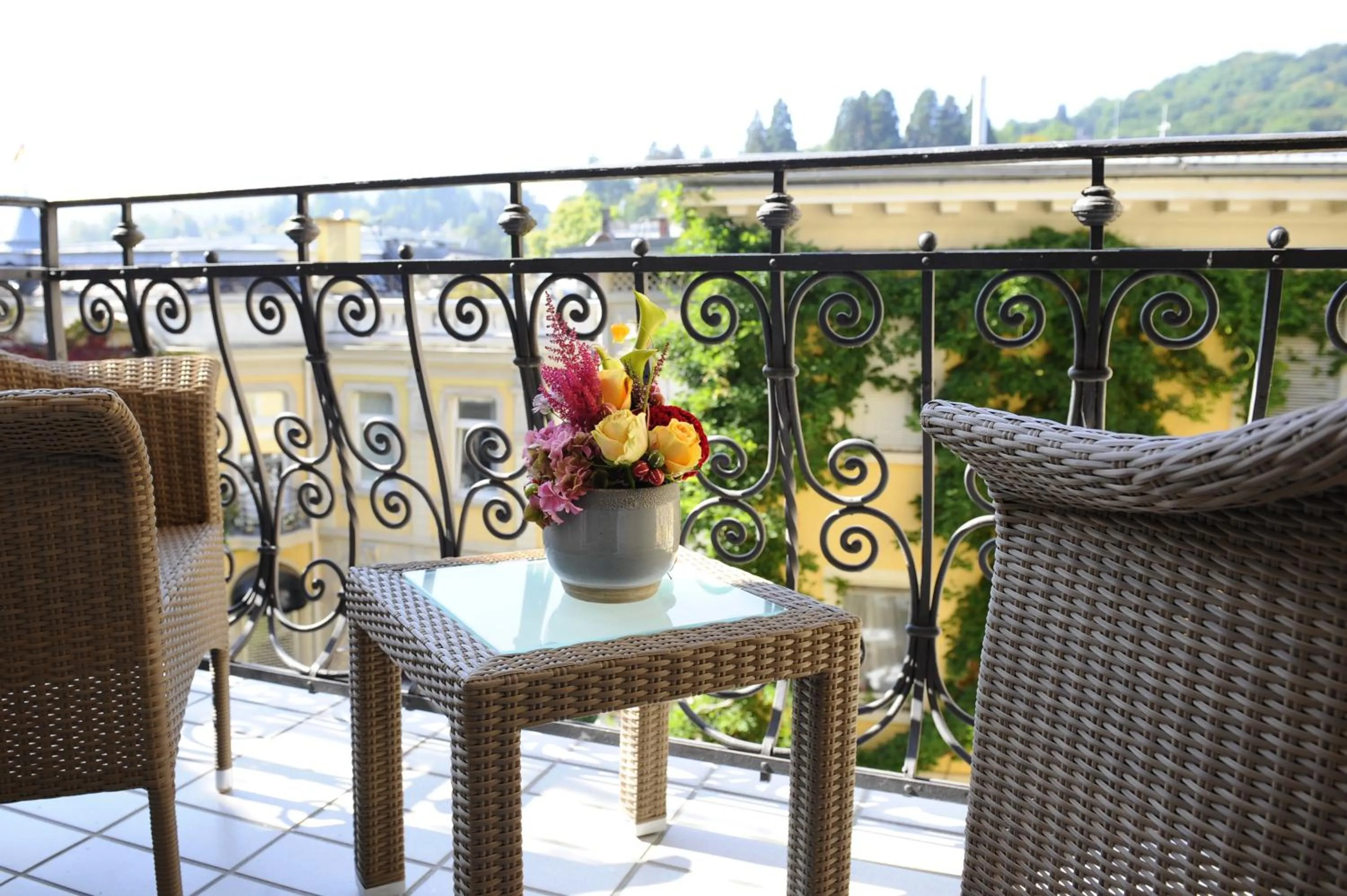 View (from property/room) in HELIOPARK Bad Hotel Zum Hirsch