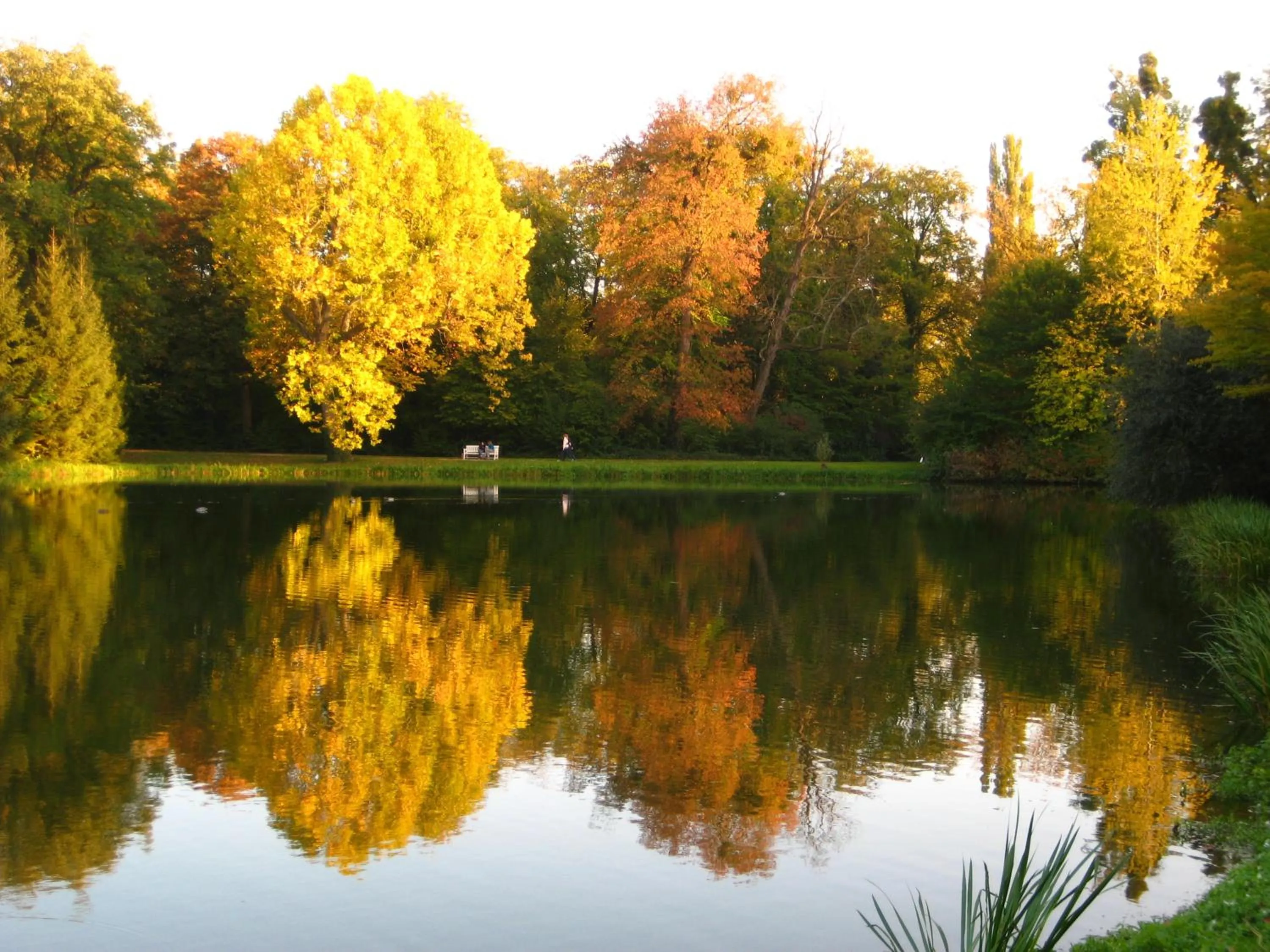 Nearby landmark in Neu Heidelberg - Guesthouse & Apartments