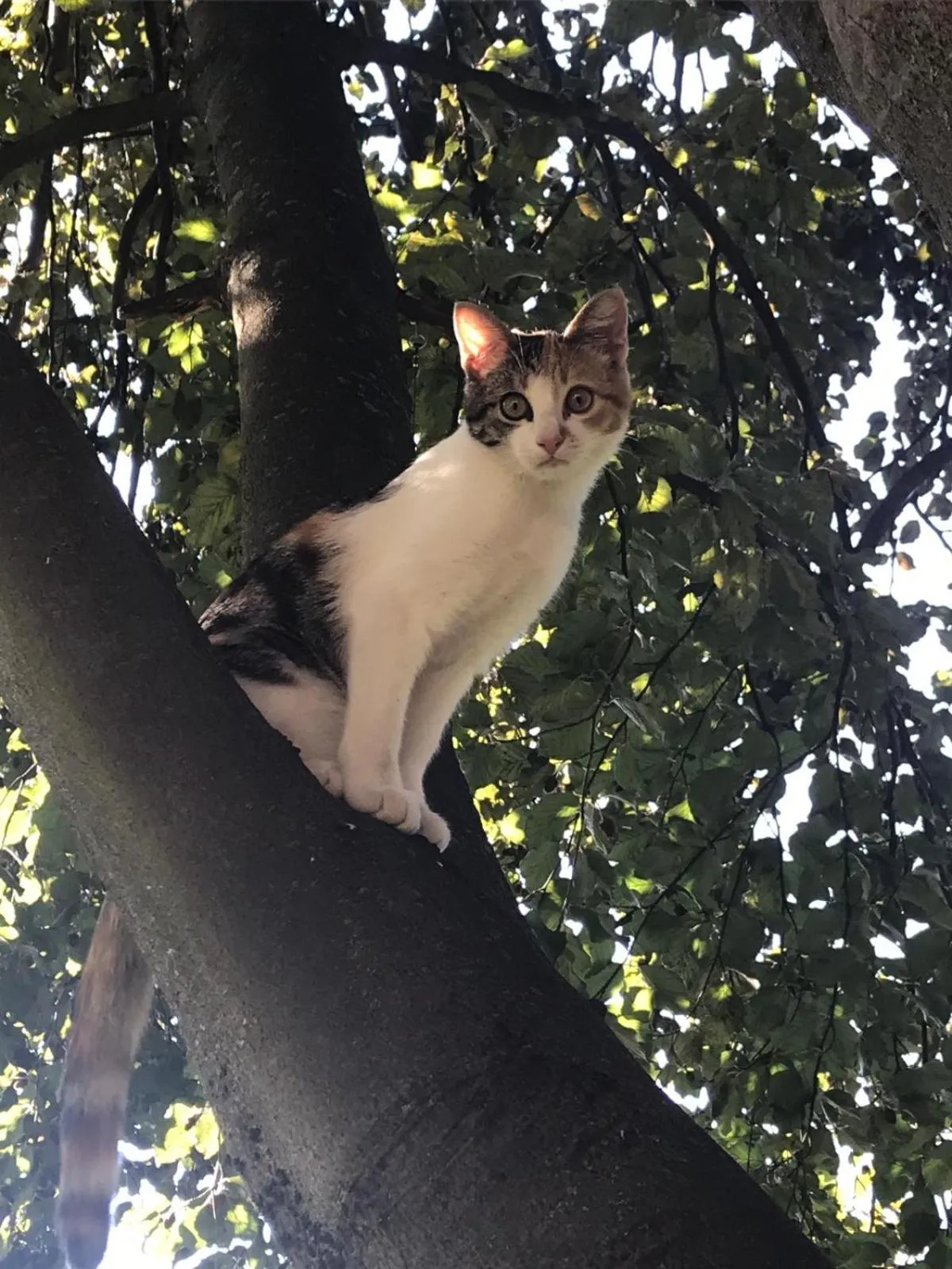 Al Chiar di Luna B&B Valtellina