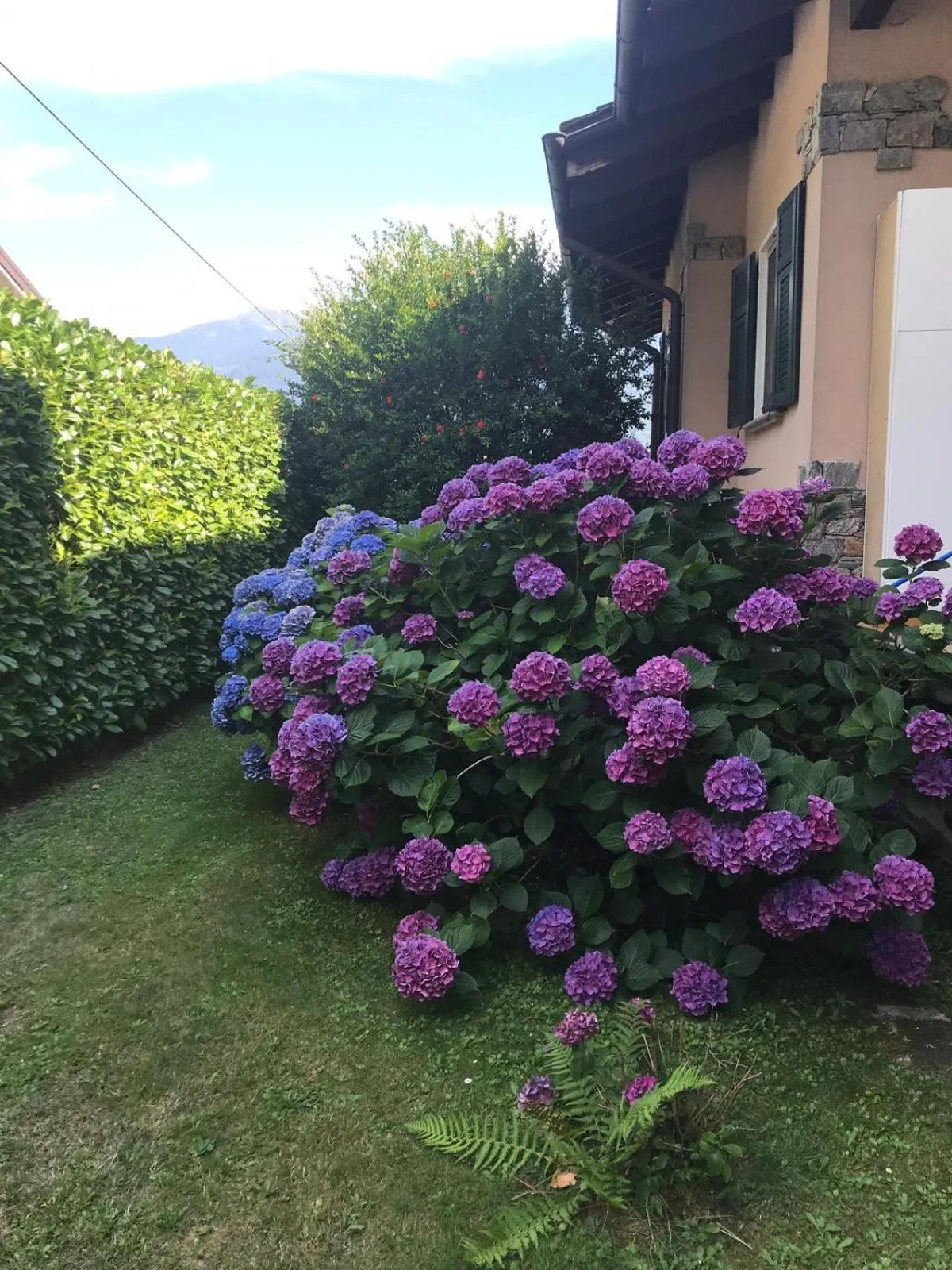 Al Chiar di Luna B&B Valtellina