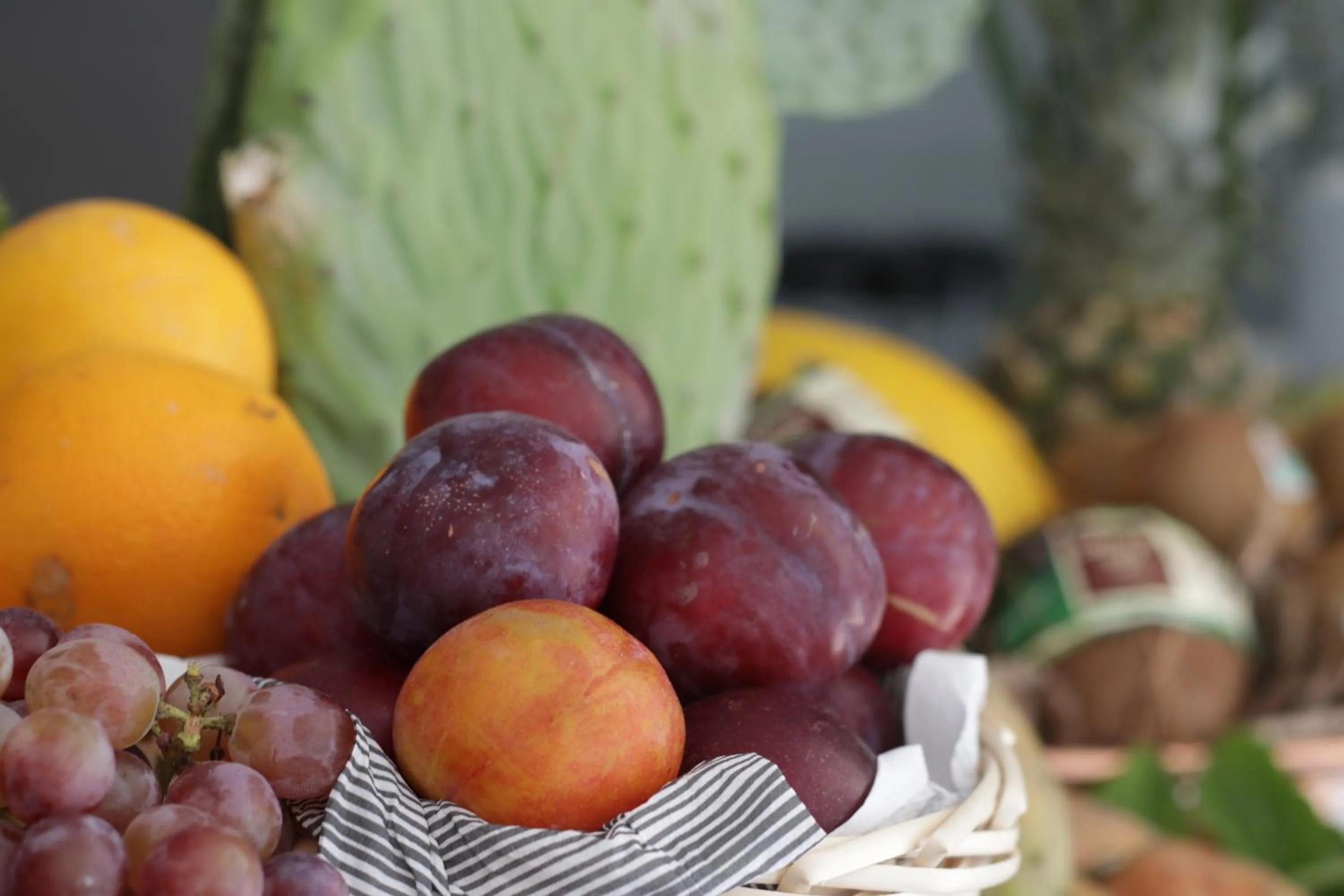 Breakfast in SALAPIA SALIS RESORT