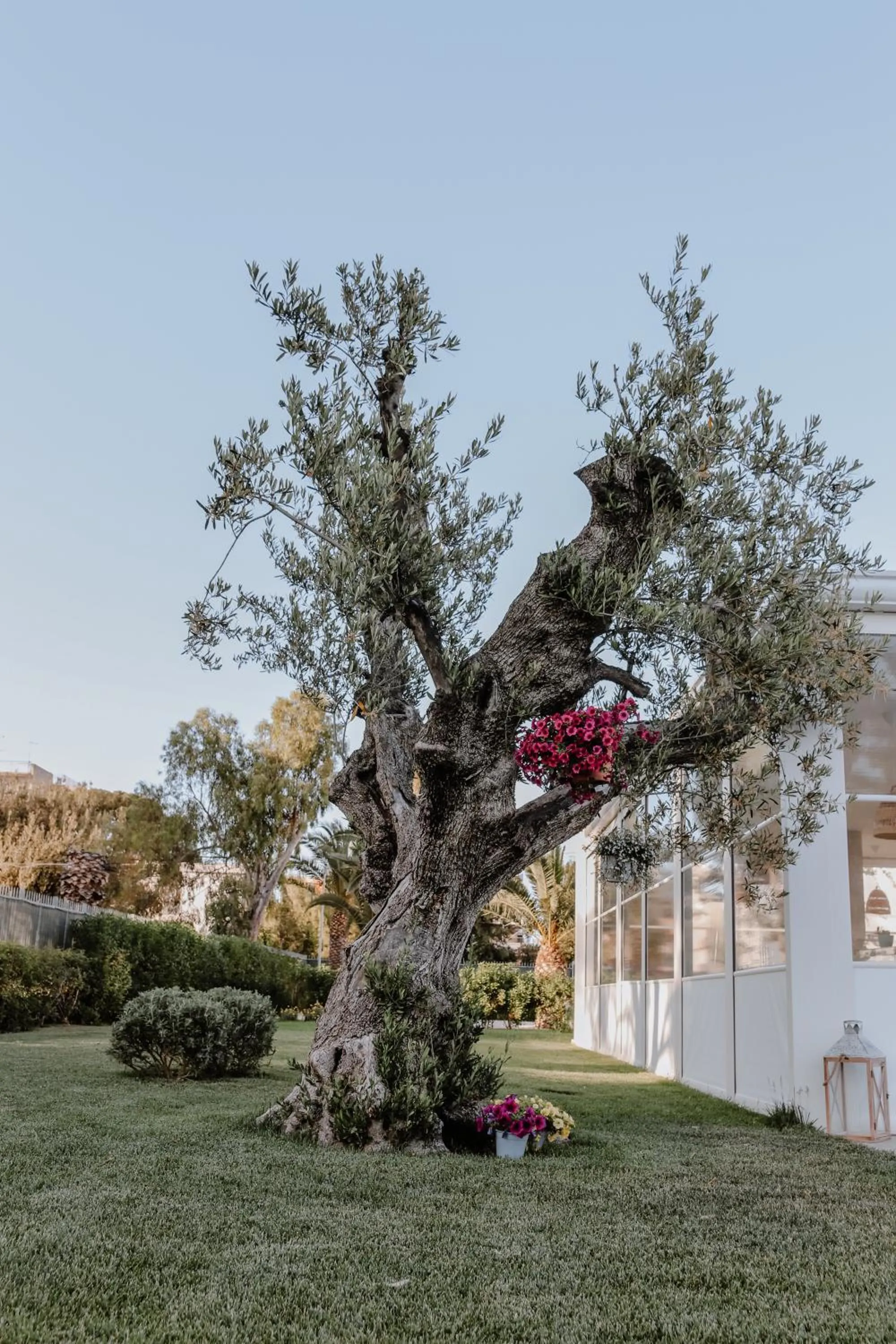 Garden in SALAPIA SALIS RESORT