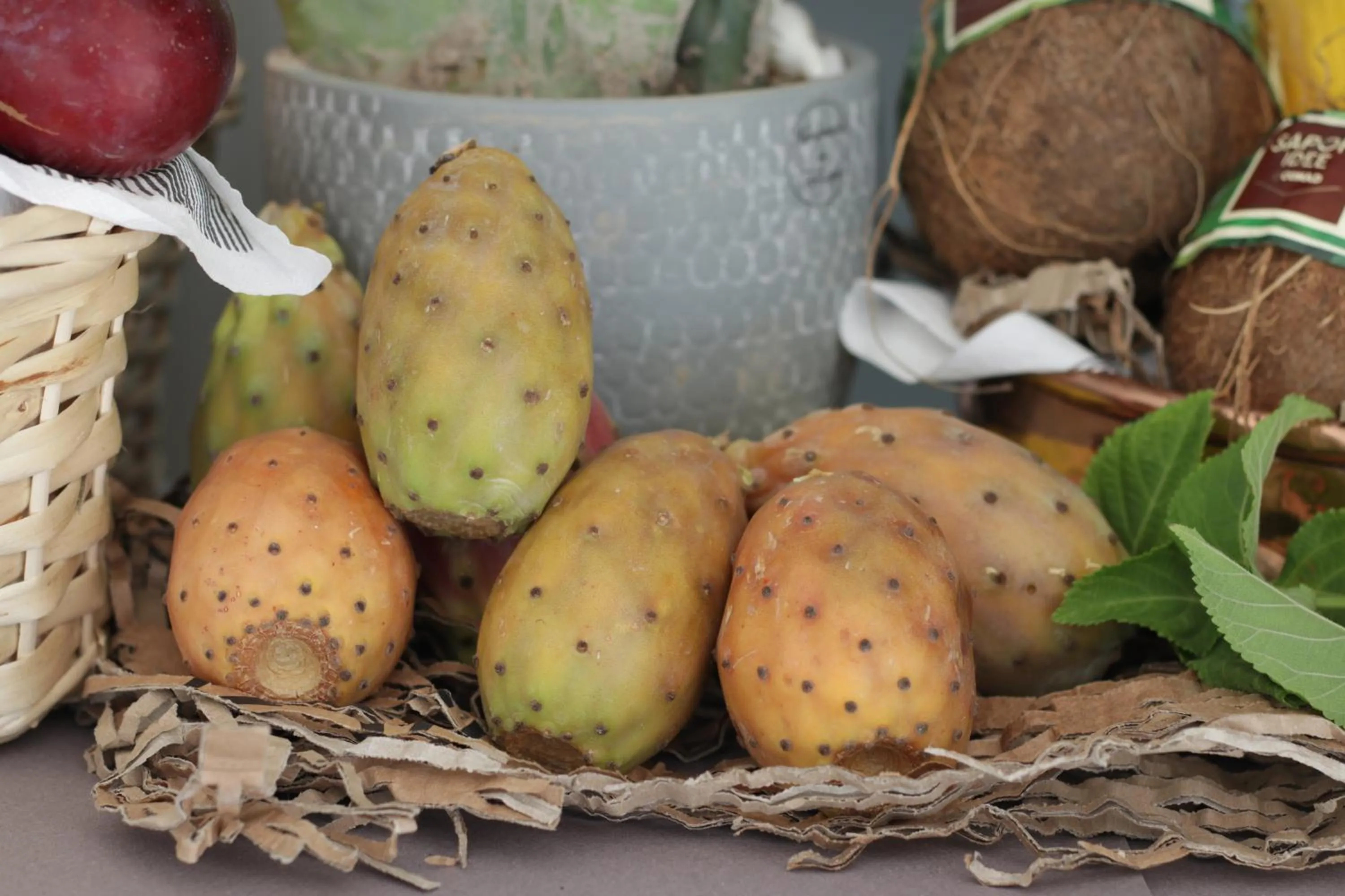 Breakfast in SALAPIA SALIS RESORT
