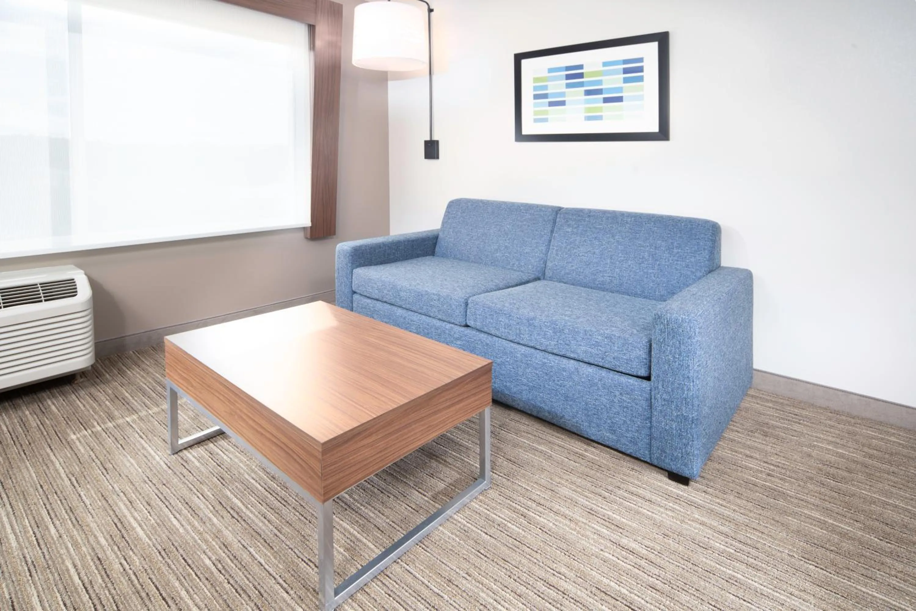 Photo of the whole room in Holiday Inn Express & Suites - Rock Hill by IHG