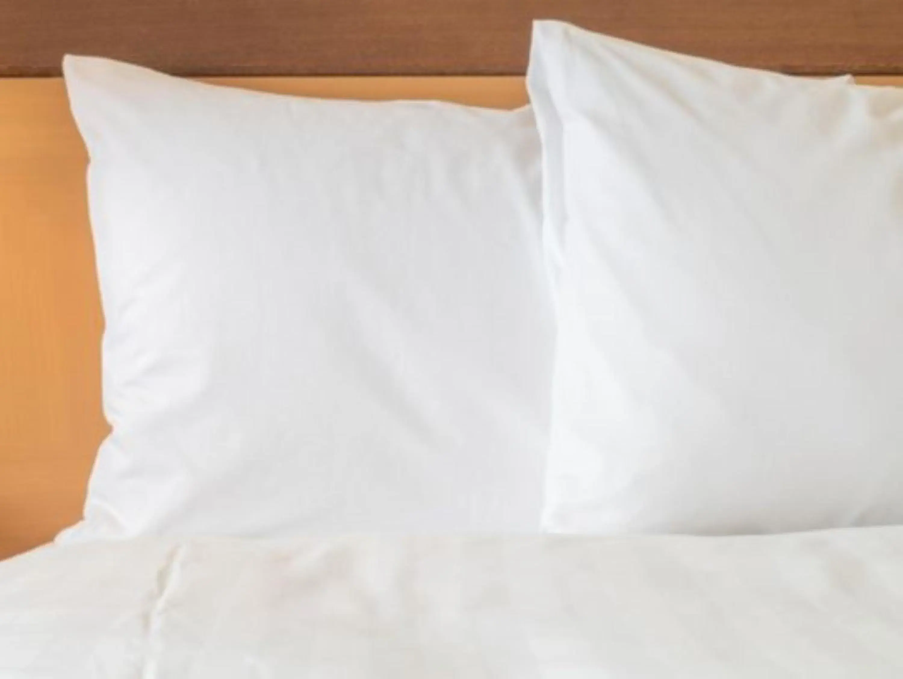 Standard Room in Holiday Inn Express & Suites - Rock Hill by IHG Standard Room in Holiday Inn Express & Suites - Rock Hill by IHG