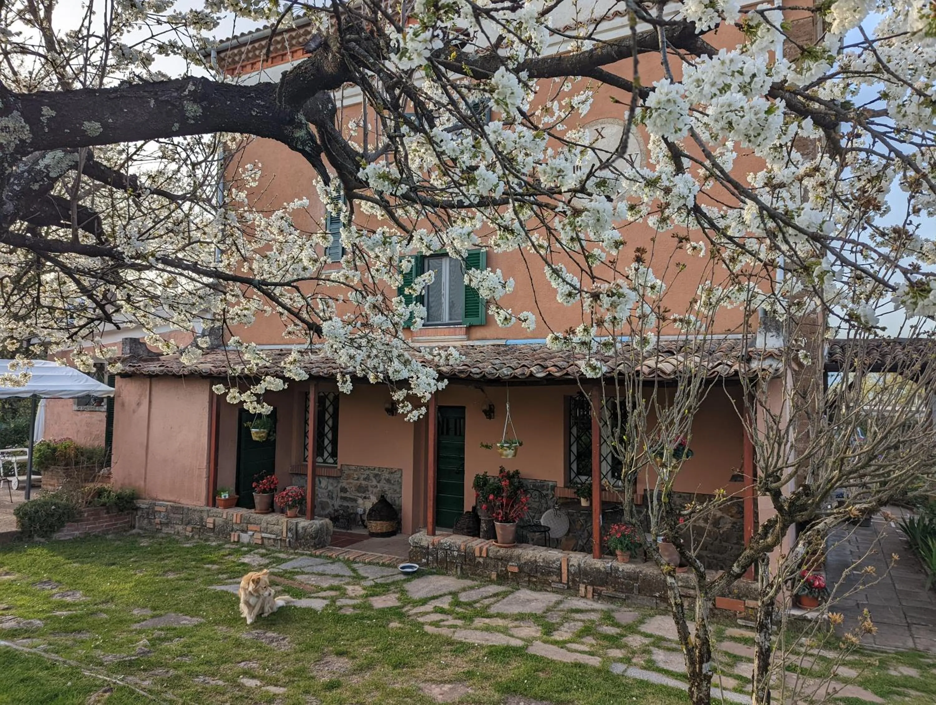 Property building in DIMORA MARELLA Patrica - Frosinone