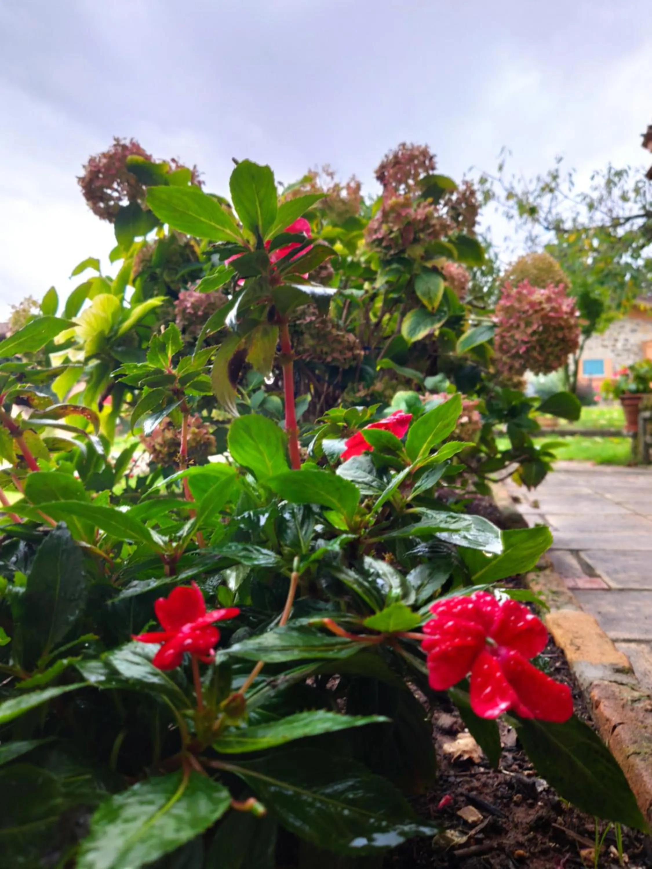 Garden view in DIMORA MARELLA Patrica - Frosinone