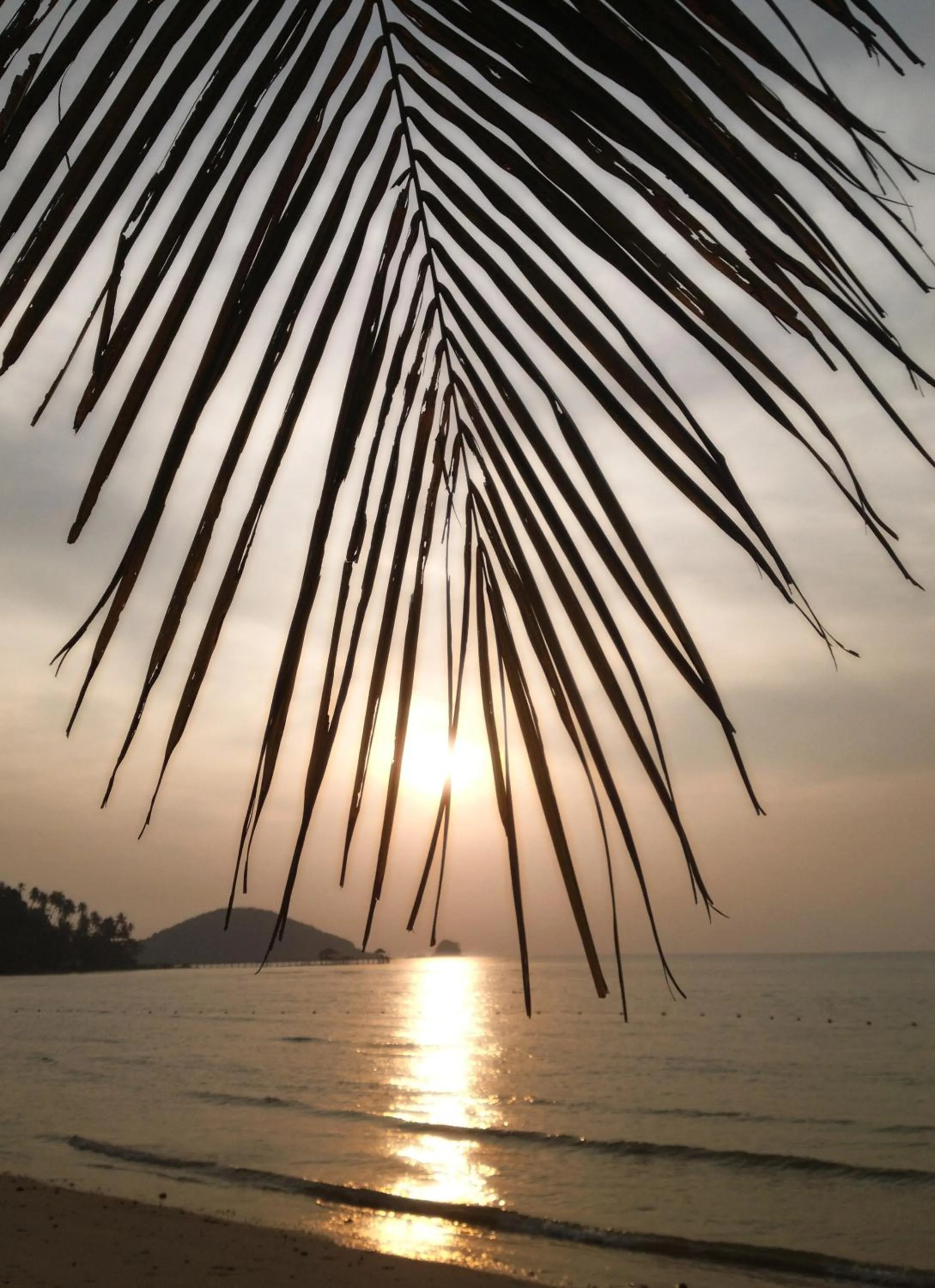 Natural landscape in Seavana Koh Mak Beach Resort