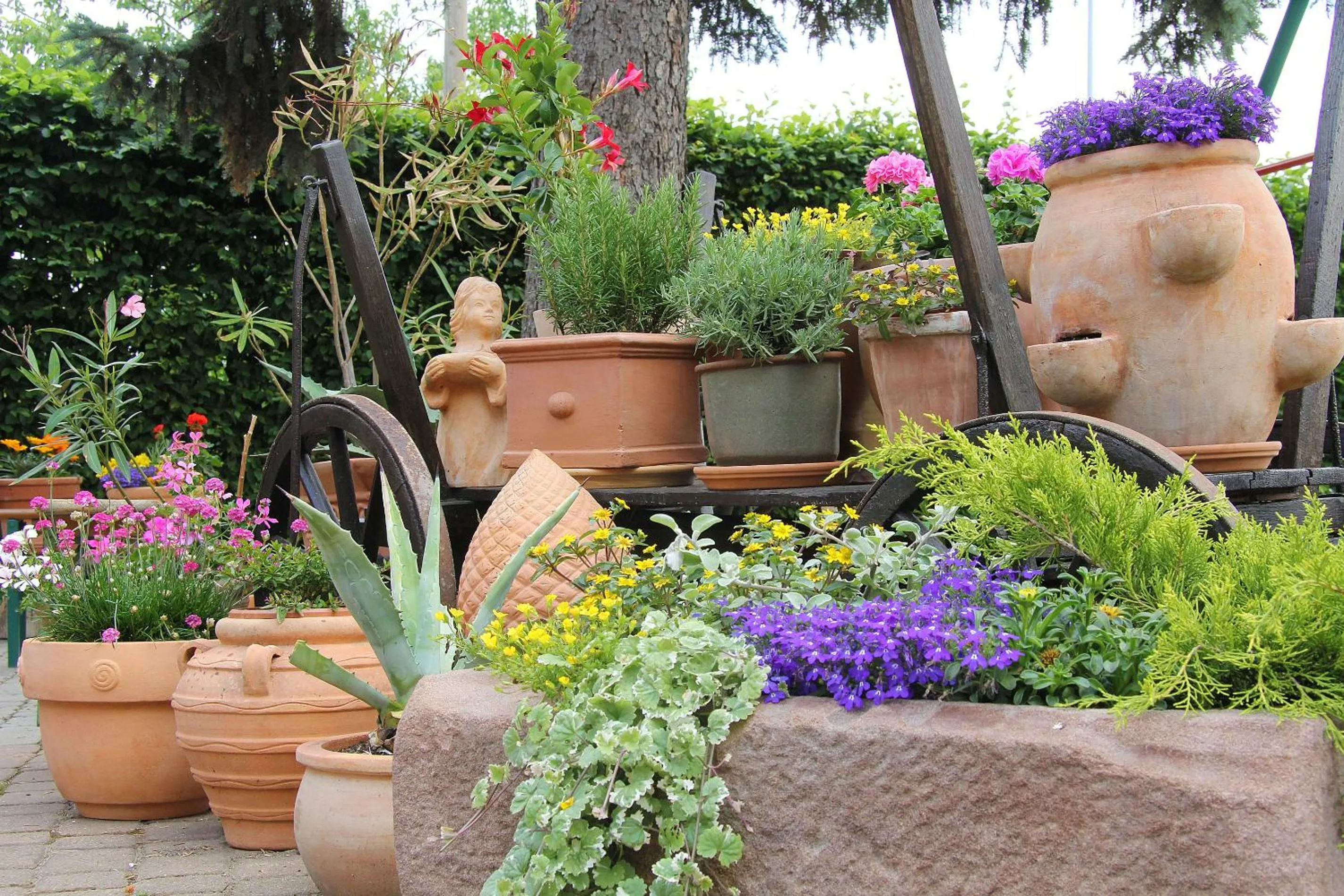 Patio in Waldschlößchen