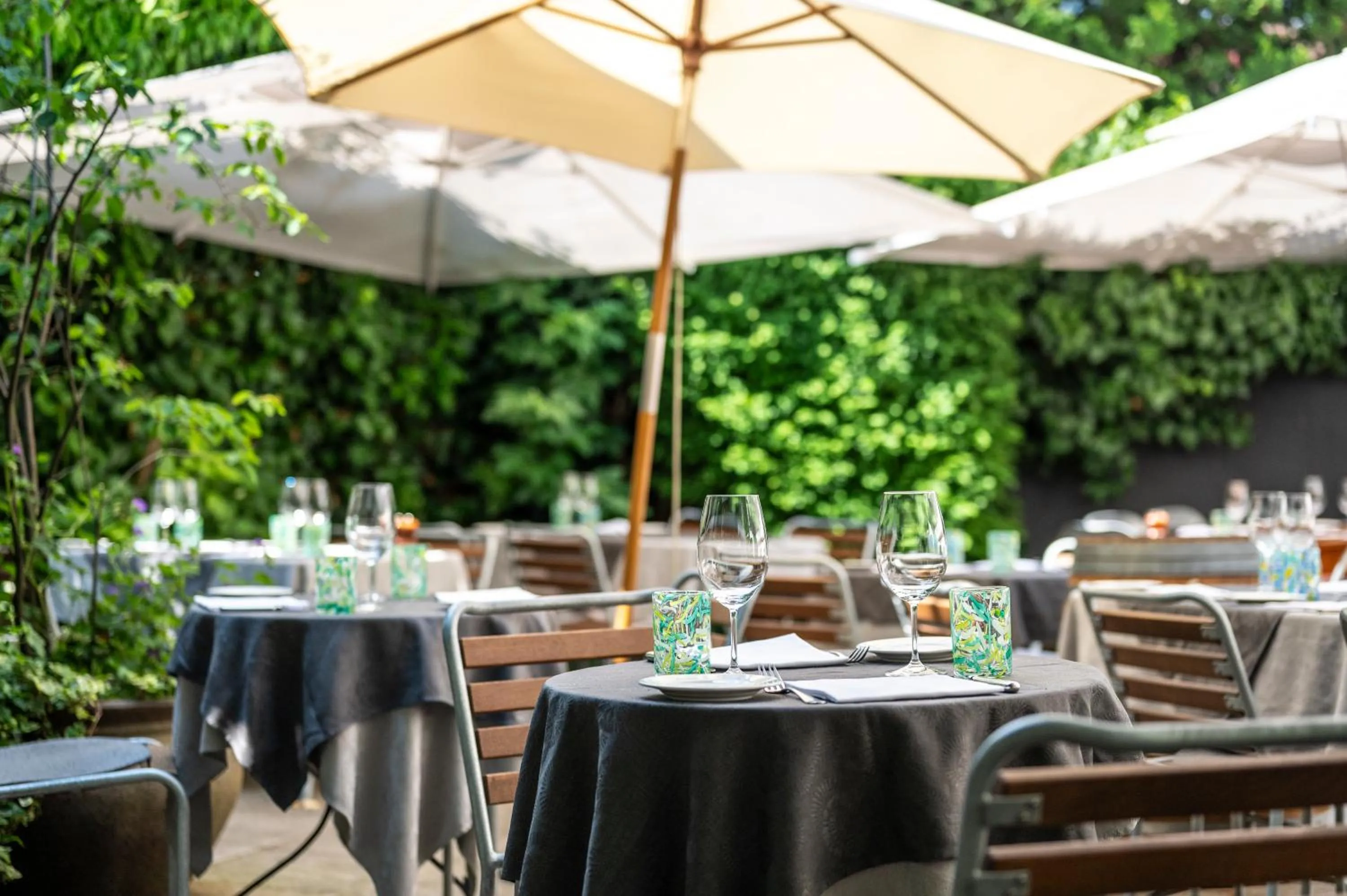 Restaurant/places to eat in Hotel Rebstock