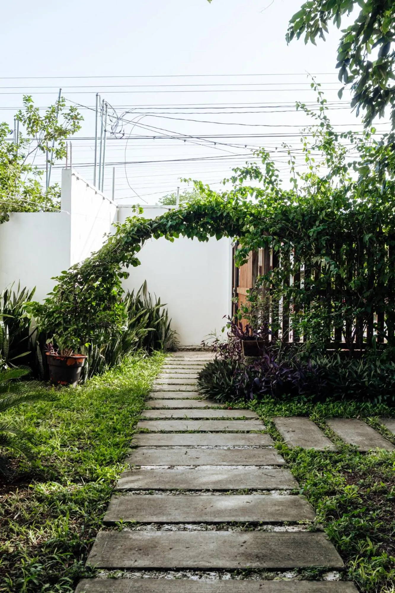 Garden in Hotel Brisas Bacalar