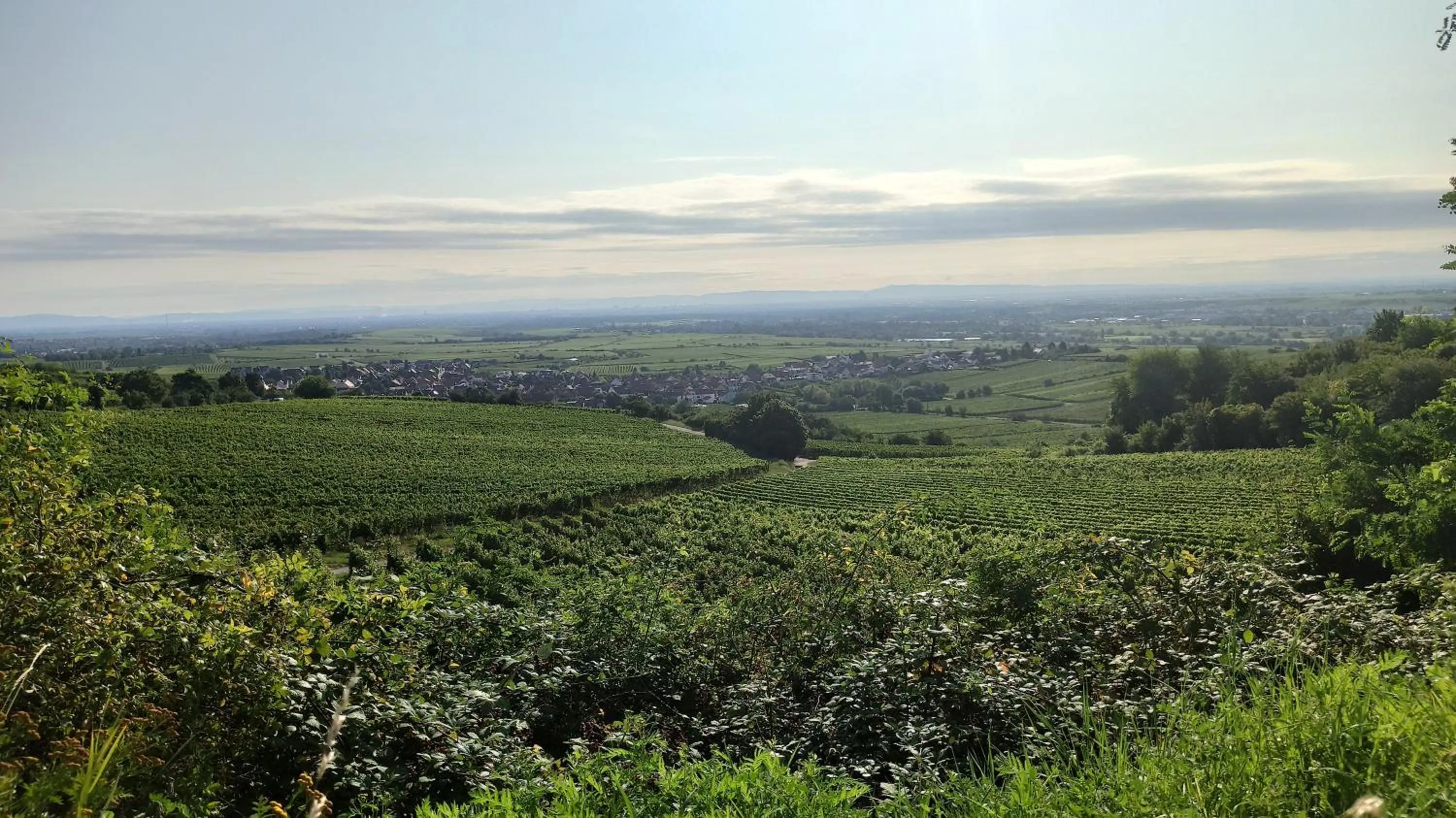 Natural landscape in Hotel Speeter