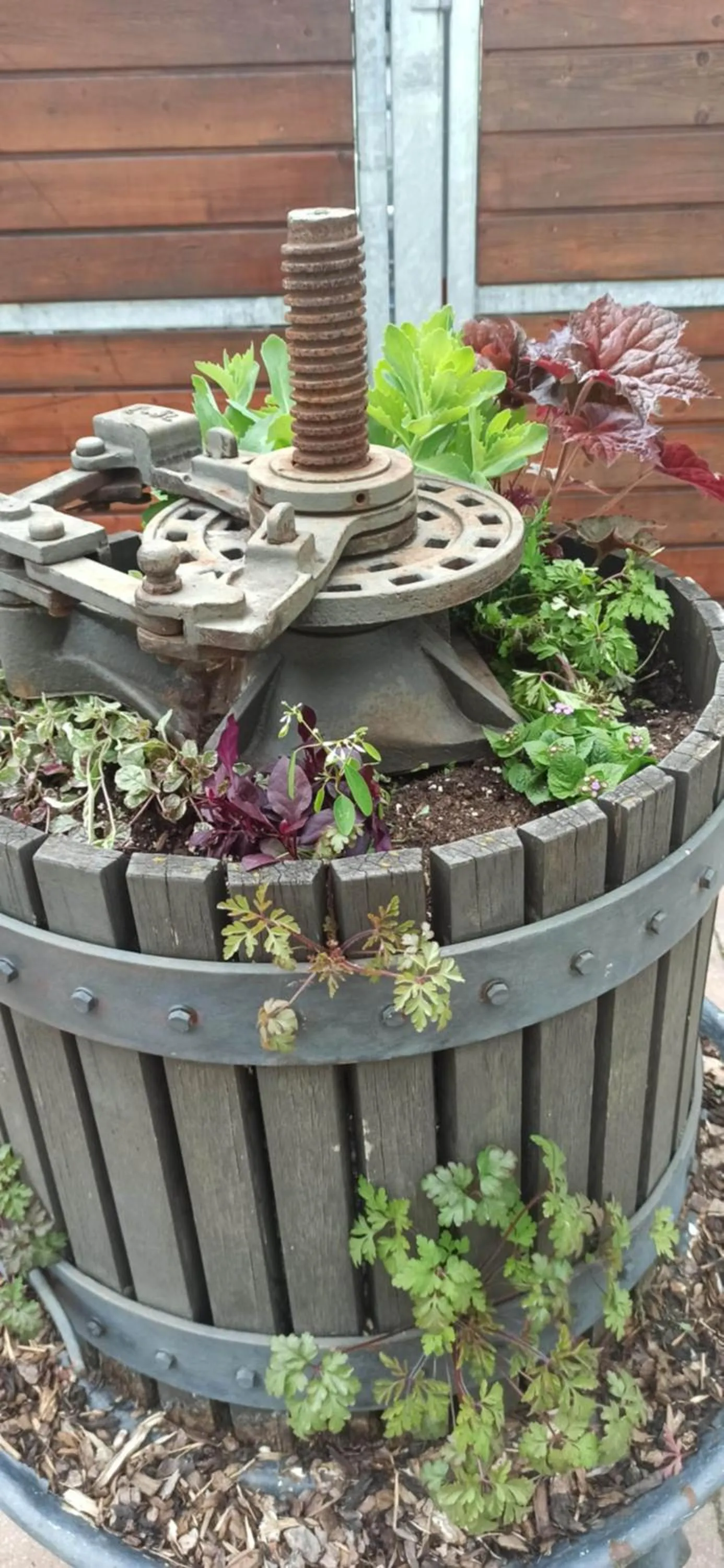 Garden in Hotel Speeter