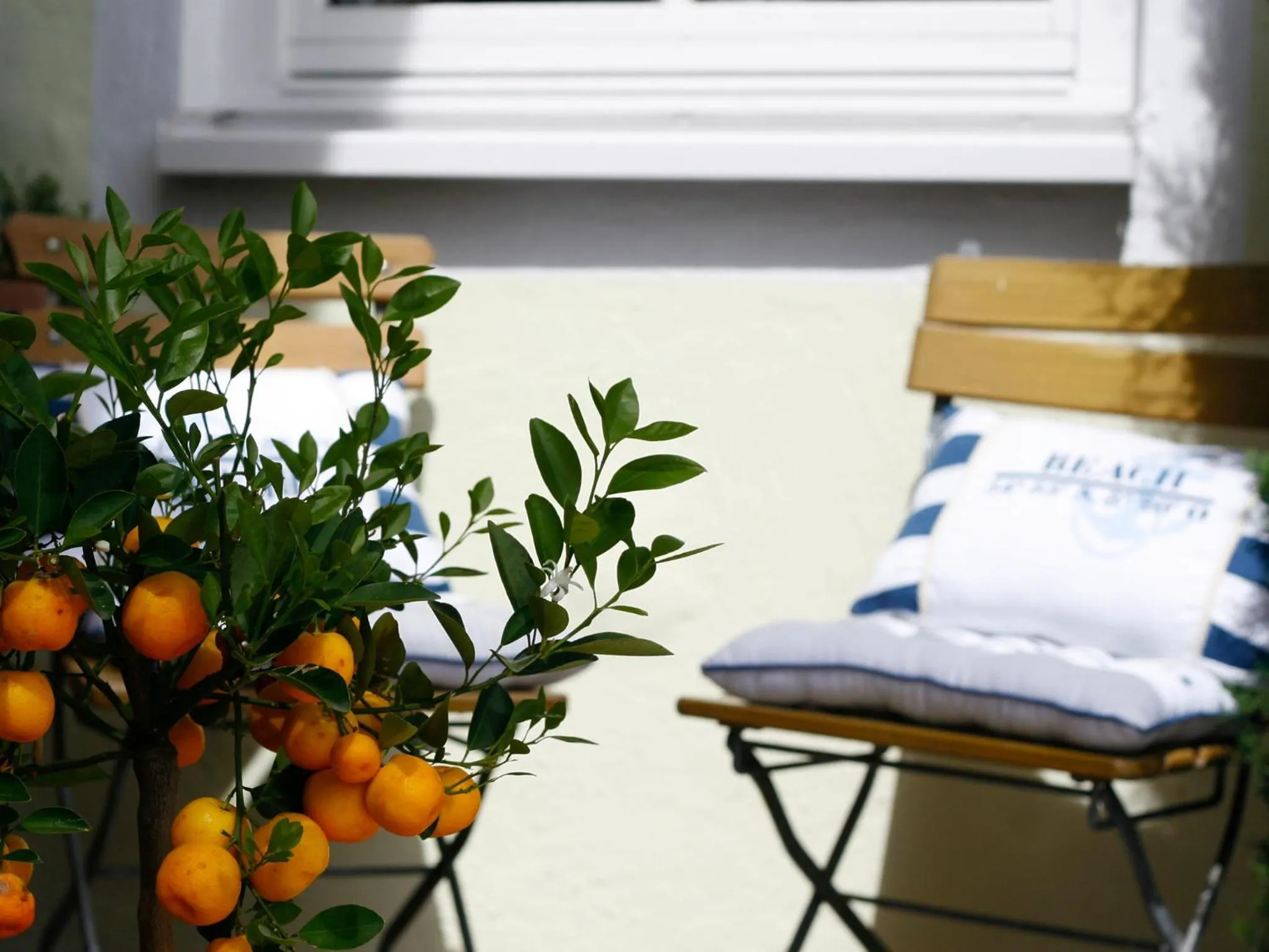 Patio in Hotel Speeter