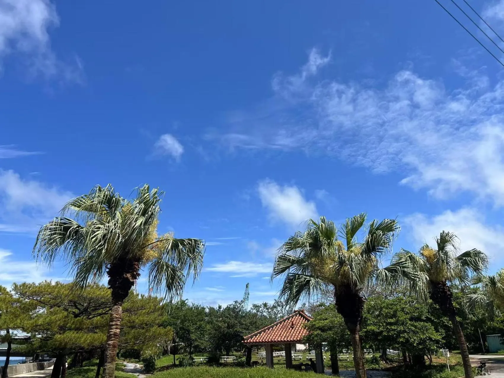 Hotel GALA Naha's only sandy beach front all rooms oceanview