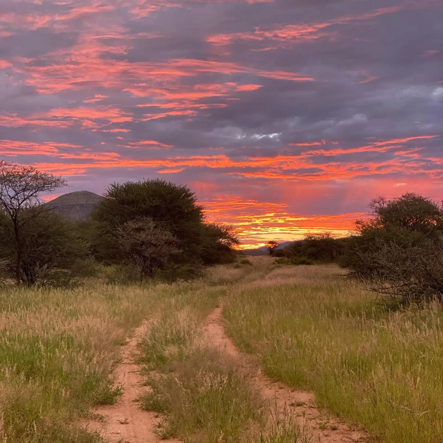 Sunset in Ondudu Safari Lodge