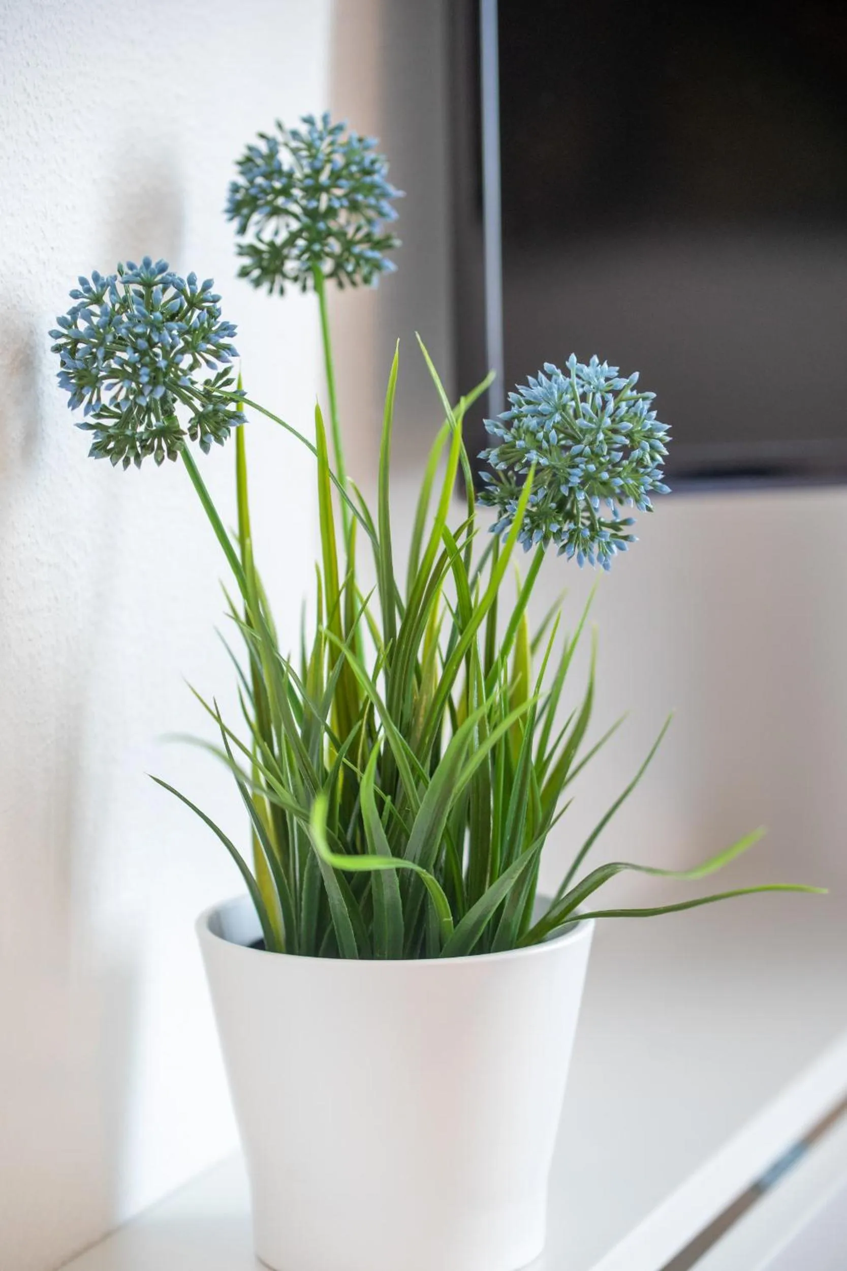 Decorative detail in Hotel Clement - Bed & Breakfast
