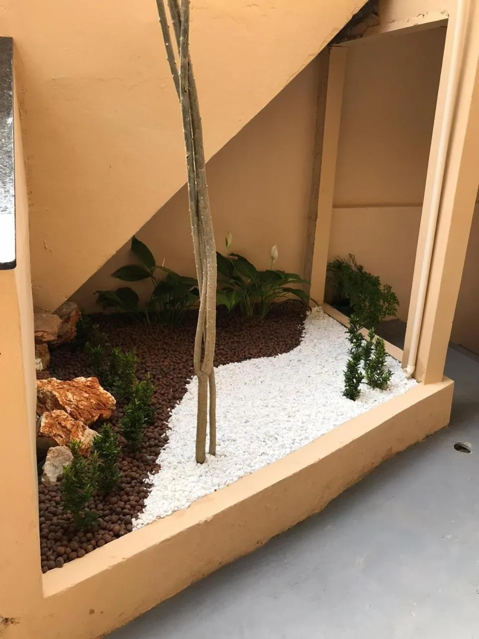 Garden view in Pousada Floripes