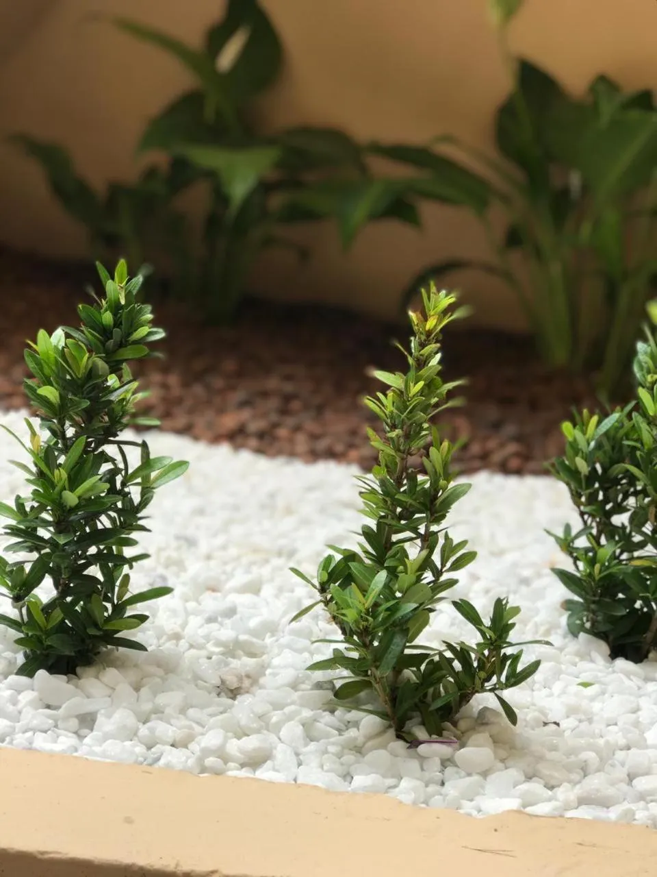 Property building in Pousada Floripes